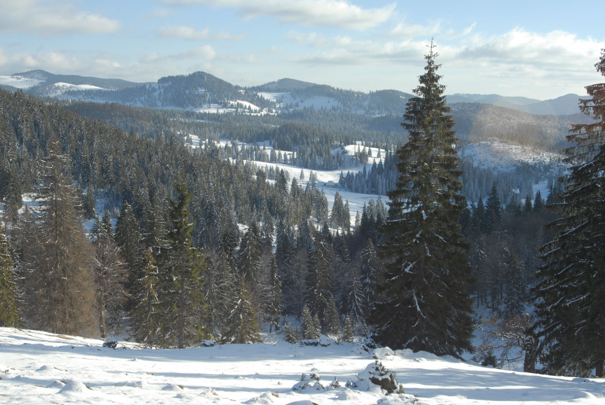 Expeditie de 10 Zile in V5 - Cea mai adanca pestera din Romania - 4