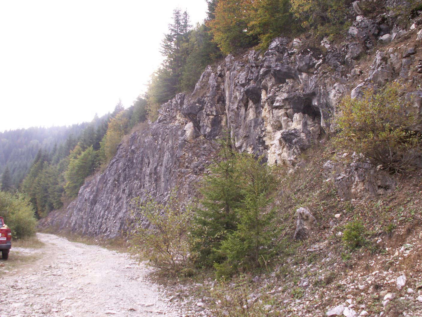 Explorări speologice preliminare în zona Lacul Floroiu - Valea Sebişel (M.Vlădeasa) - 4