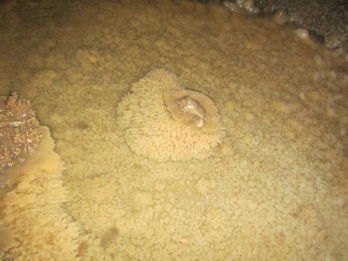 Expeditie de 10 Zile in V5 - Cea mai adanca pestera din Romania - 10