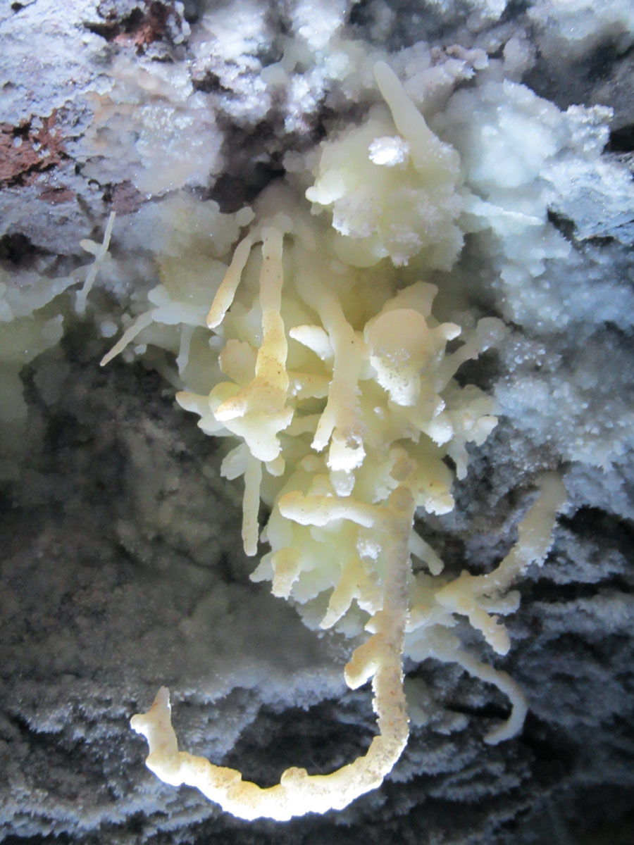 Expeditie de 10 Zile in V5 - Cea mai adanca pestera din Romania - 25