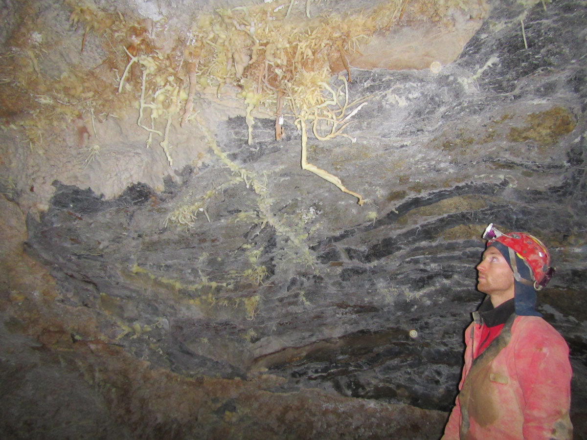 Expeditie de 10 Zile in V5 - Cea mai adanca pestera din Romania - 31