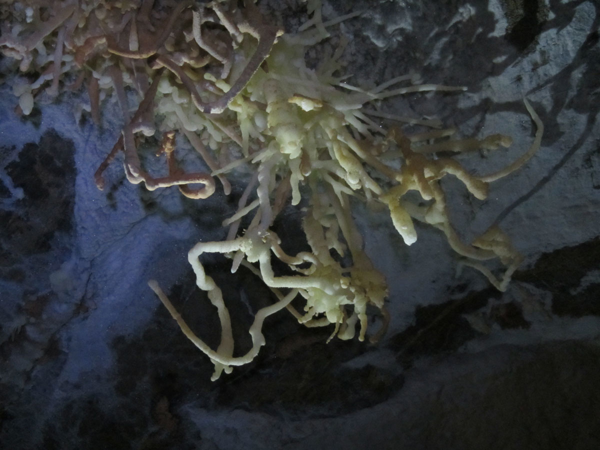 Expeditie de 10 Zile in V5 - Cea mai adanca pestera din Romania - 35