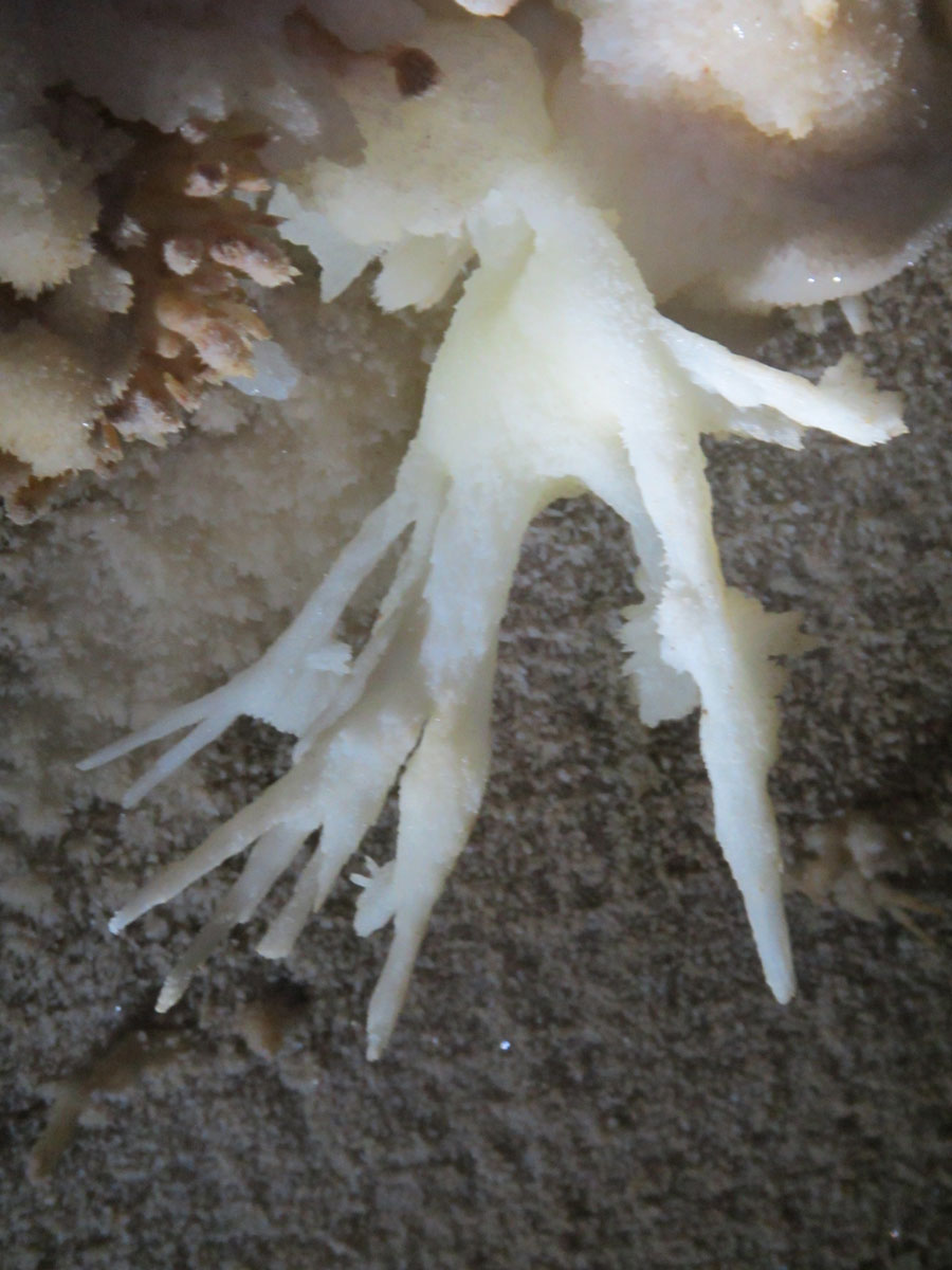 Expeditie de 10 Zile in V5 - Cea mai adanca pestera din Romania - 38