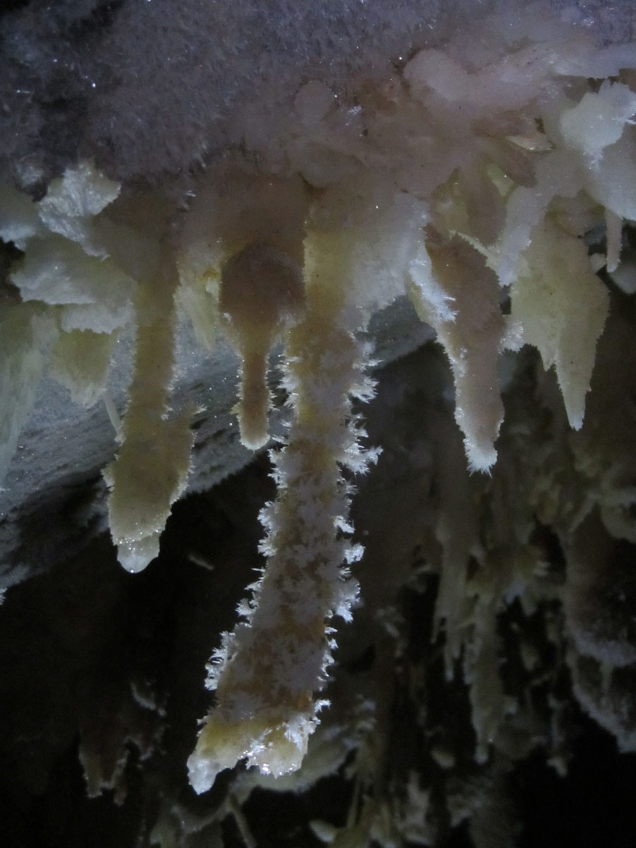 Expeditie de 10 Zile in V5 - Cea mai adanca pestera din Romania - 39