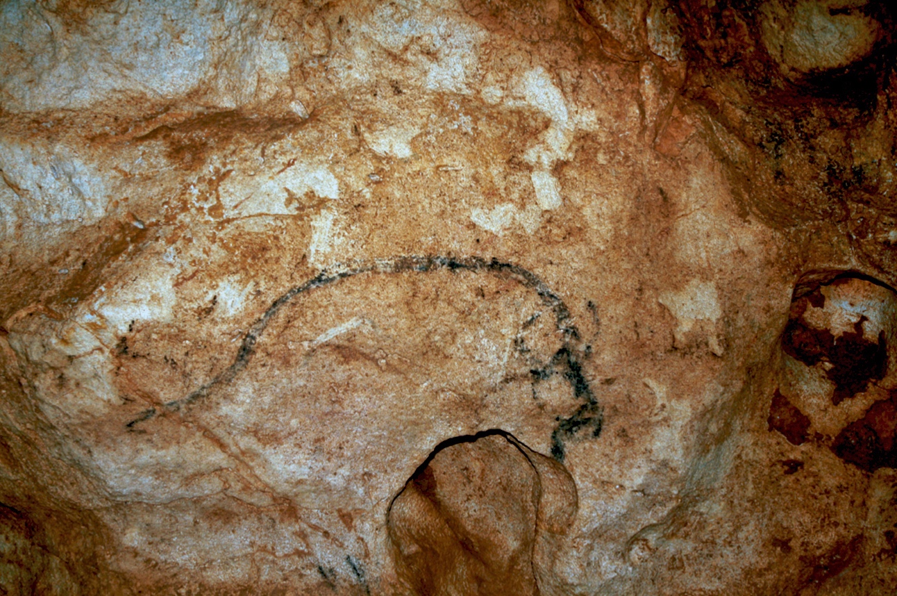 Picturi Rupestre în Peștera Coliboaia - 3