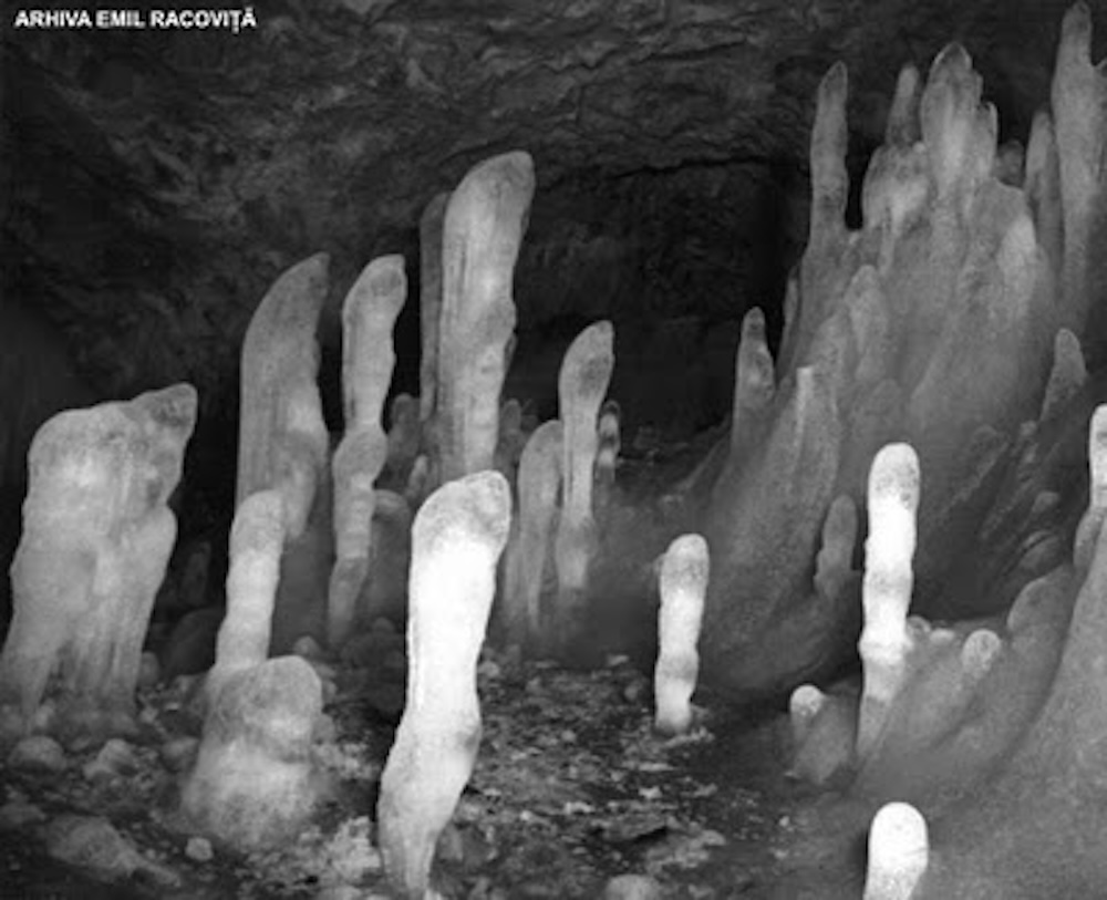 Sala „Biserica” din peştera Gheţarul de la Scărişoara (foto E. Racoviţă, 1923). Sala „Biserica” din peştera Gheţarul de la Scărişoara (foto E. Racoviţă, 1923).