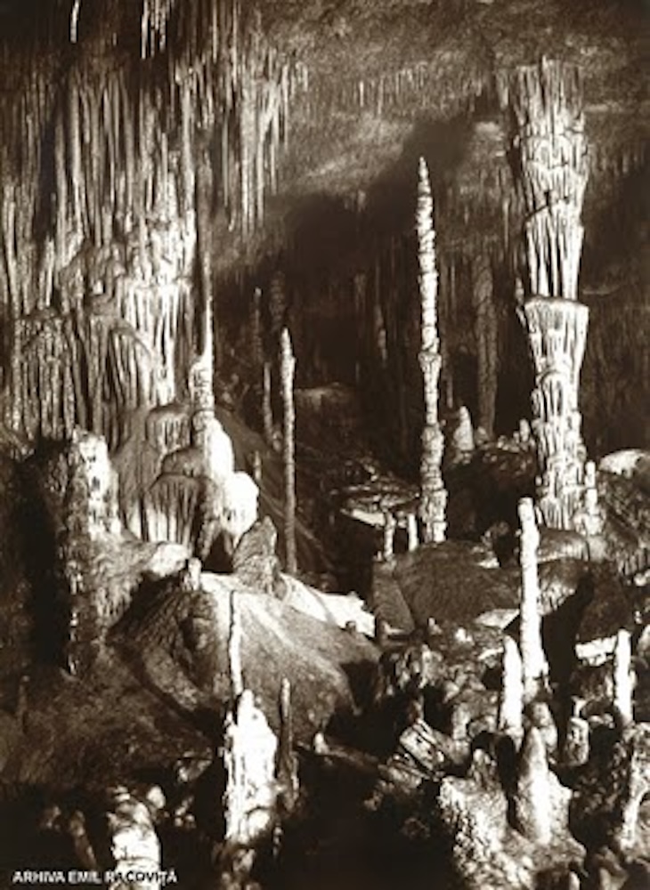 Emil Racoviţă- „A şti sau a nu şti, aceasta este întrebarea” - 12