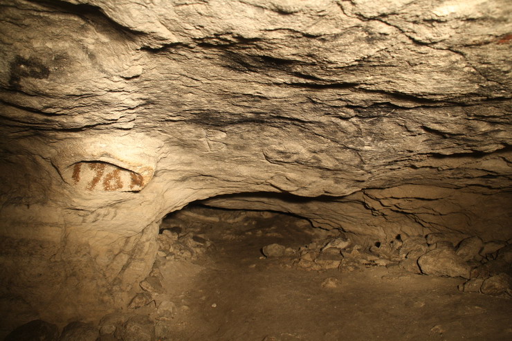 Pestera Limanu, galeria 26, intrarea spre sectorul II, in stanga, cu anul 1960 scris in ea o formatiune de tavan de tip ciuperca Poliporus - Sursa: Gigi Dragomir