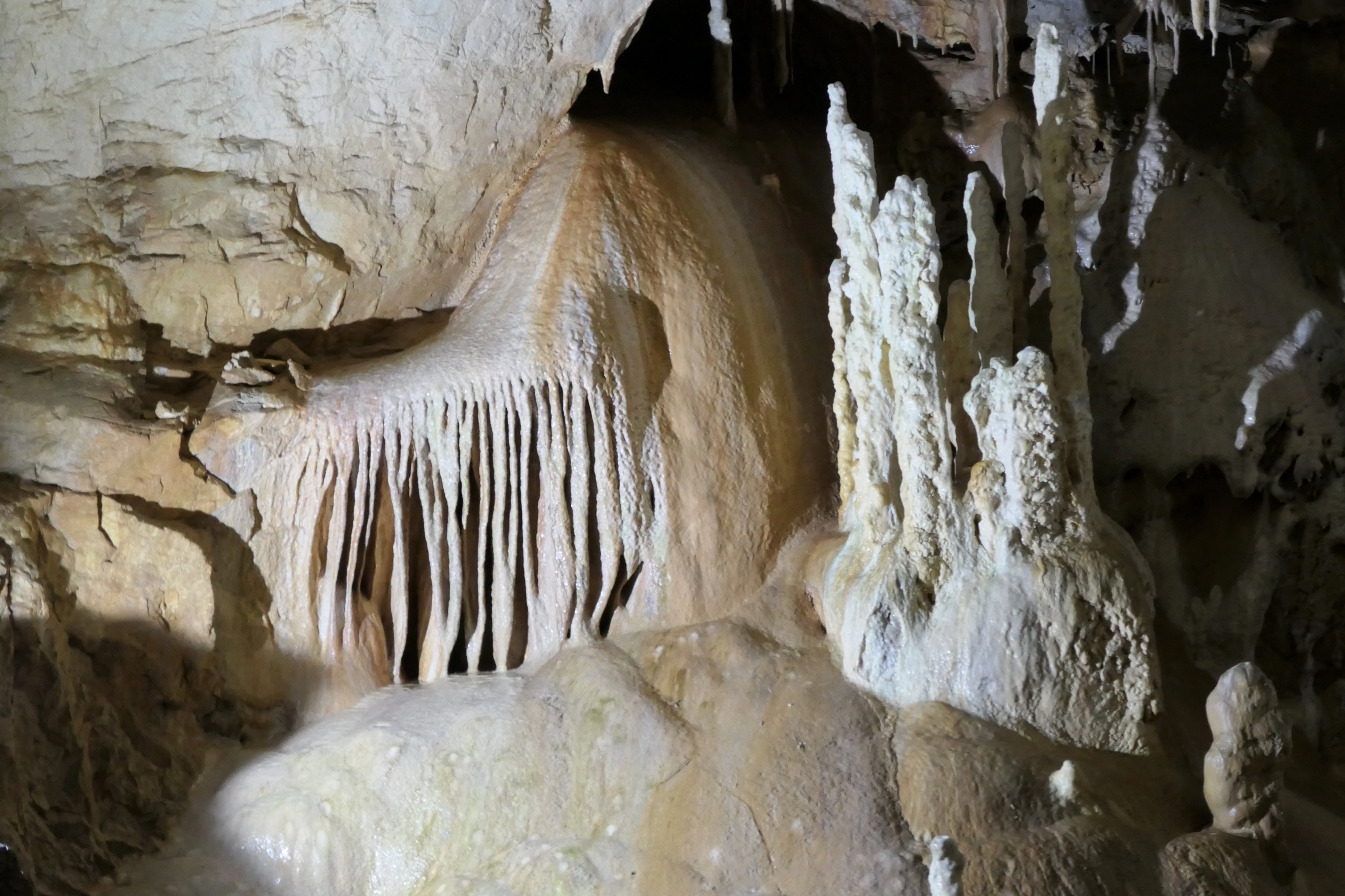 Peştera Urşilor - foto: Radu Manta