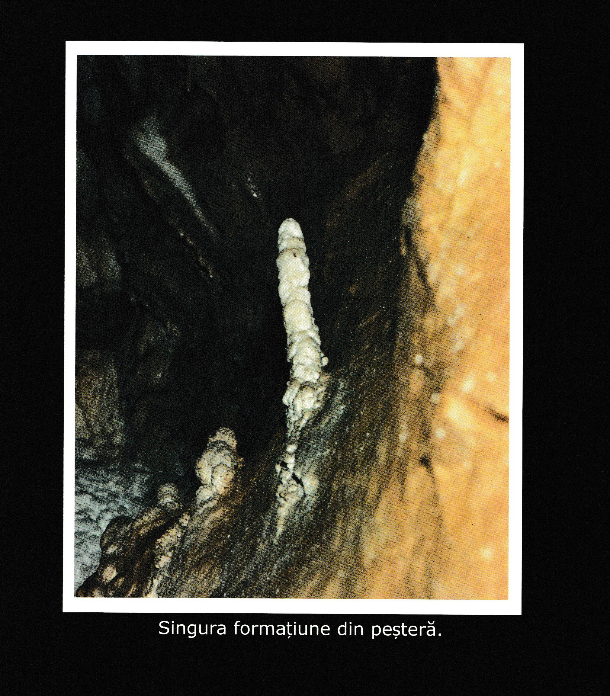 Foto: Iosif Sandor (Dodi)