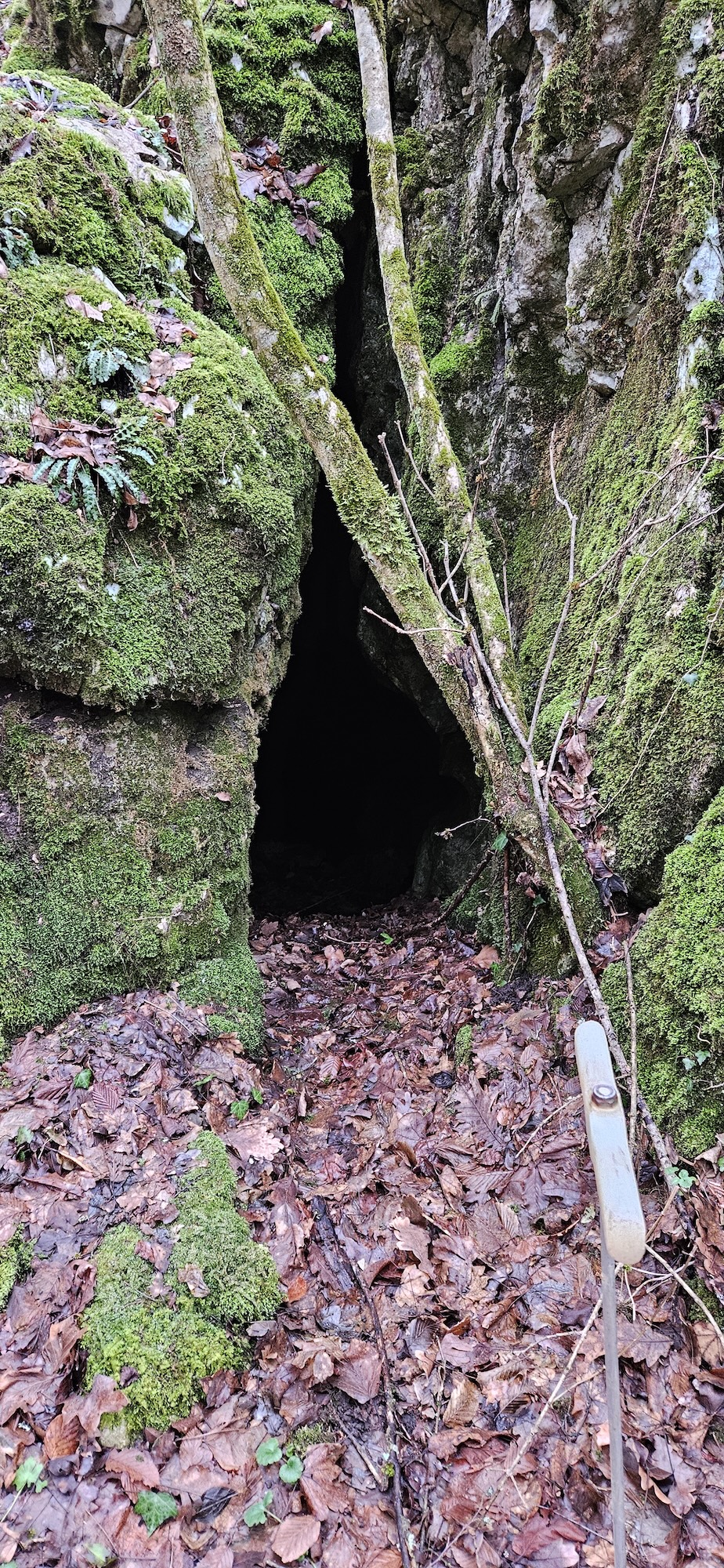 Peștera Nr.2 din Valea Nermed - Image 1