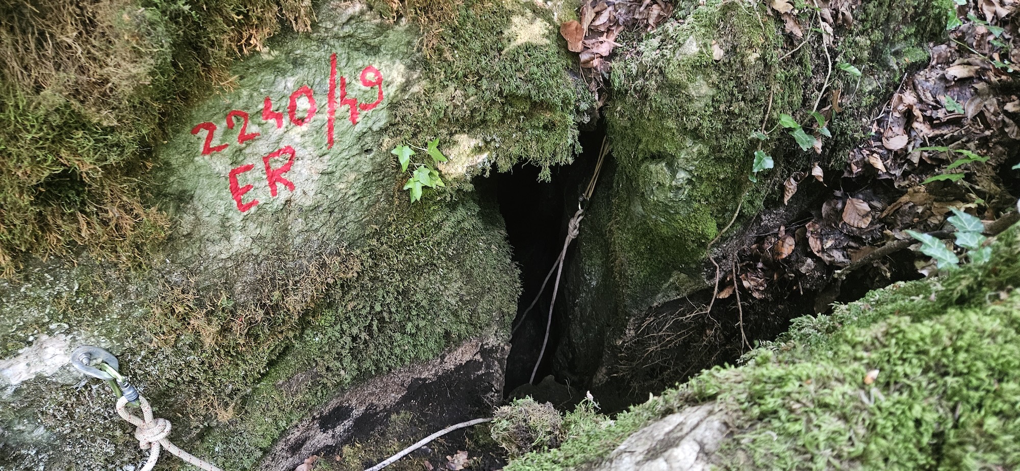 Avenul din Navesul Mare - Image 1