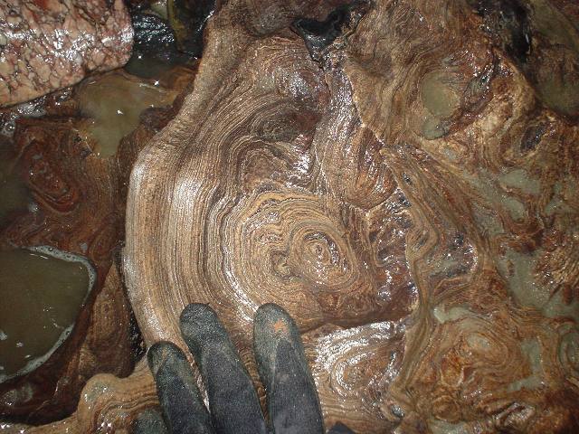 Peştera Ponorâci - Cioclovina cu Apă - Image 3