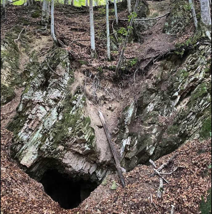 Cimitirul pasarilor - Foto: Costin Taracila (Google)