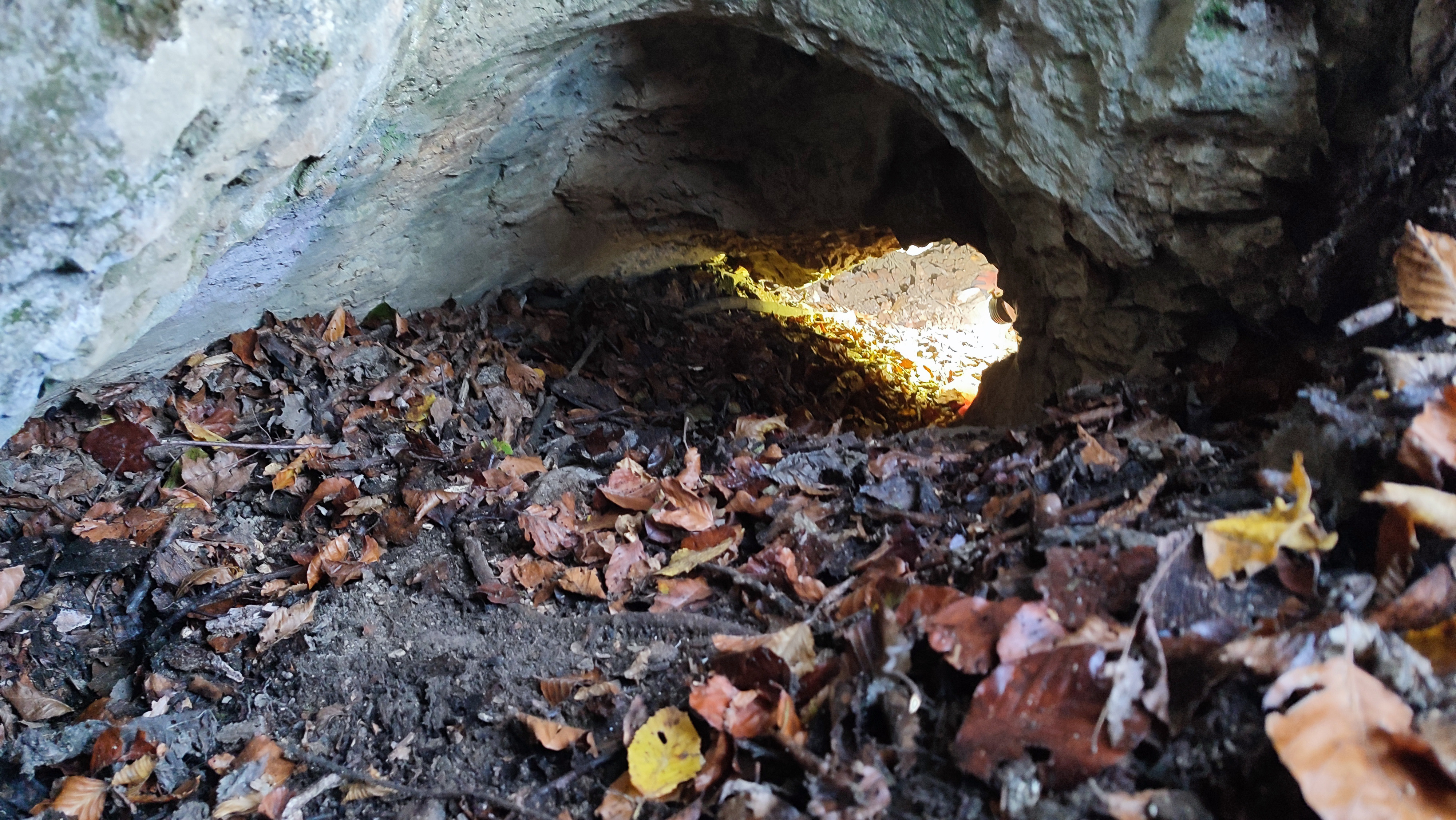 Peştera de Sus din Valea Băii - Image 2