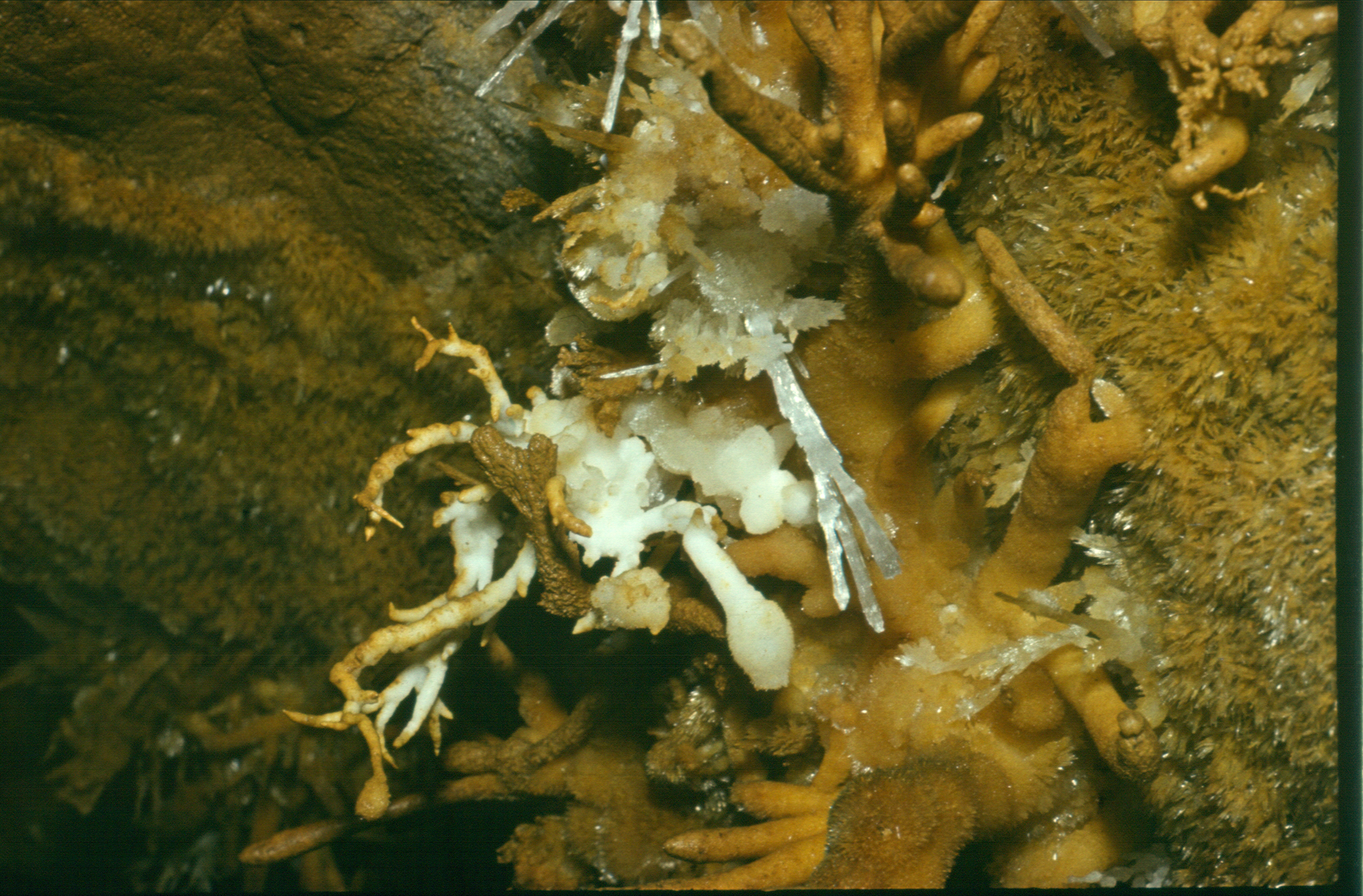 Peştera cu Apă de la Moară - Image 11