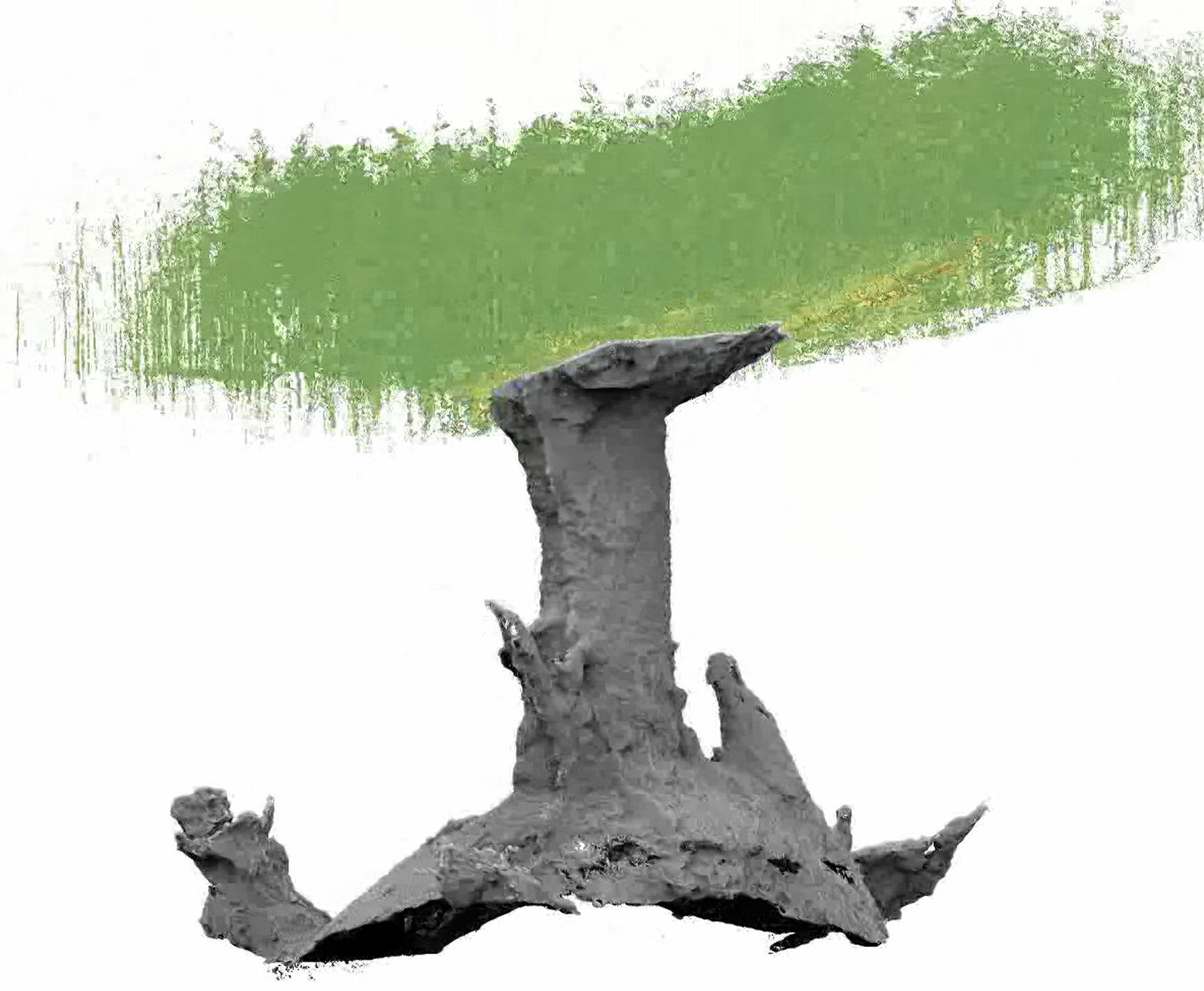 Bortig - Profil Lidar 3D - Tomi