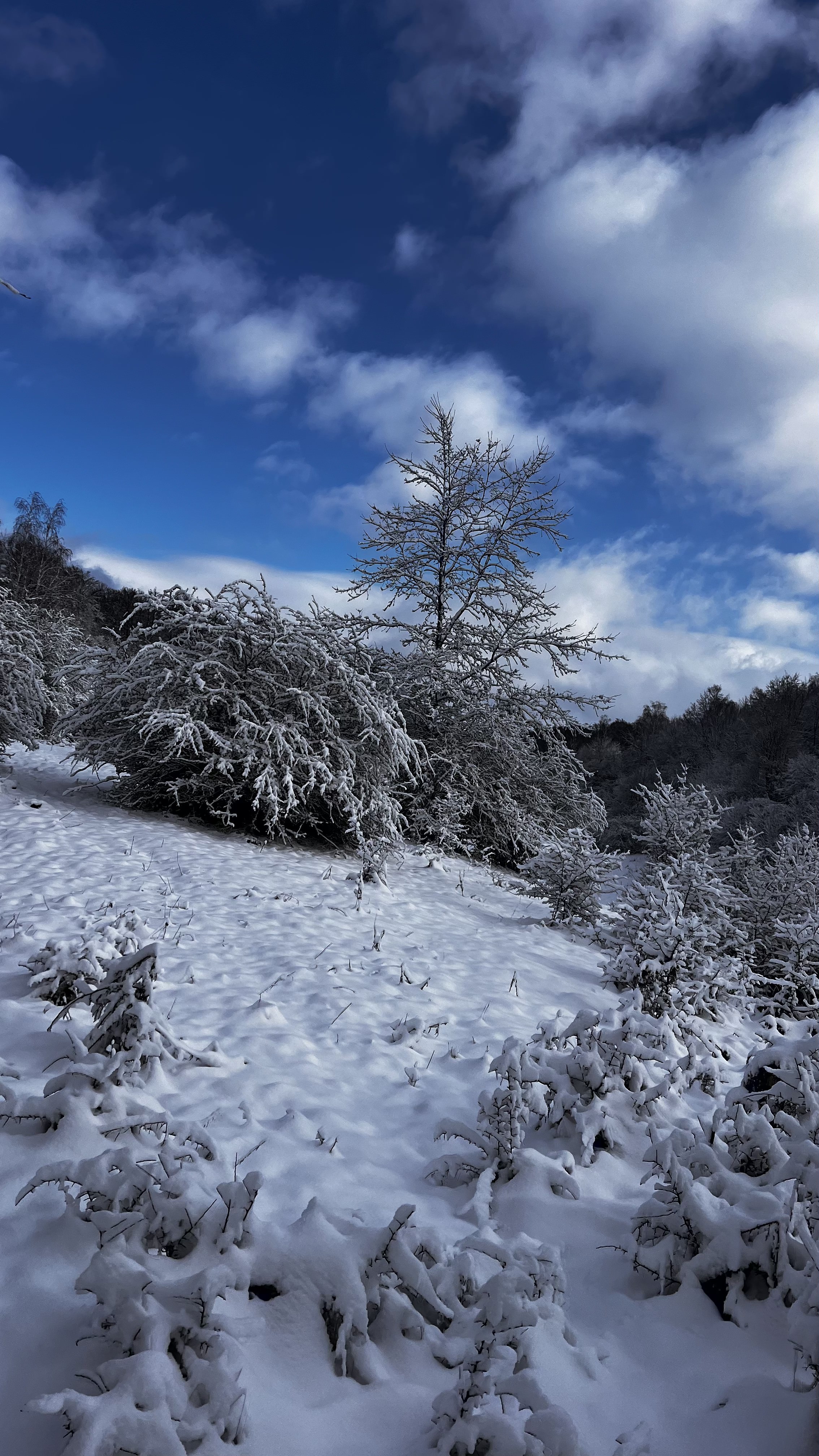 Avenul AiDeP - Image 12