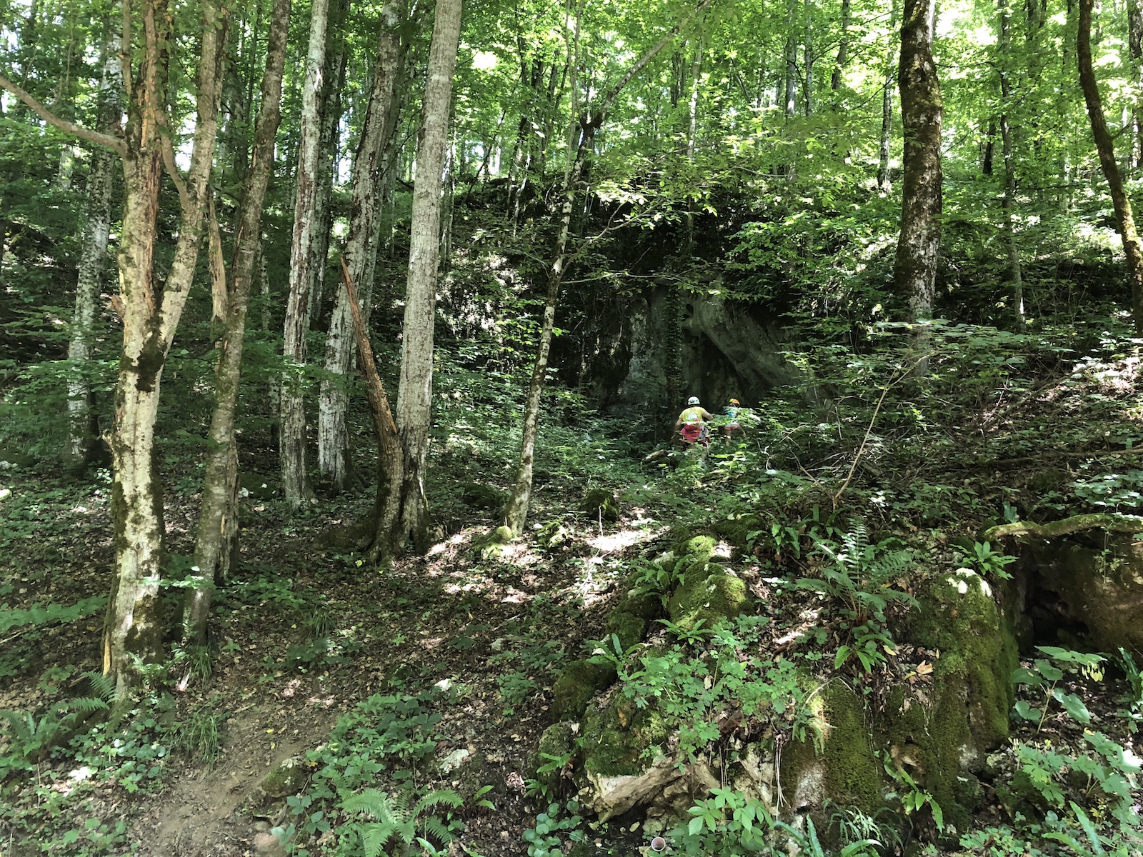 Pestera de jos de la Cubles - Foto: Victor Ursu - vazuta de pe drumul de access