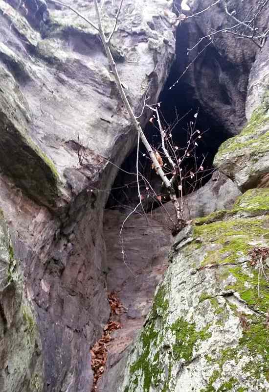 Pestera mare de la Dancu - Image 1