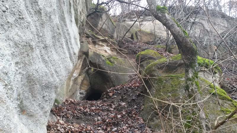 Peştera din Piatra Bondii. (P de la Tamasa) - Image 3