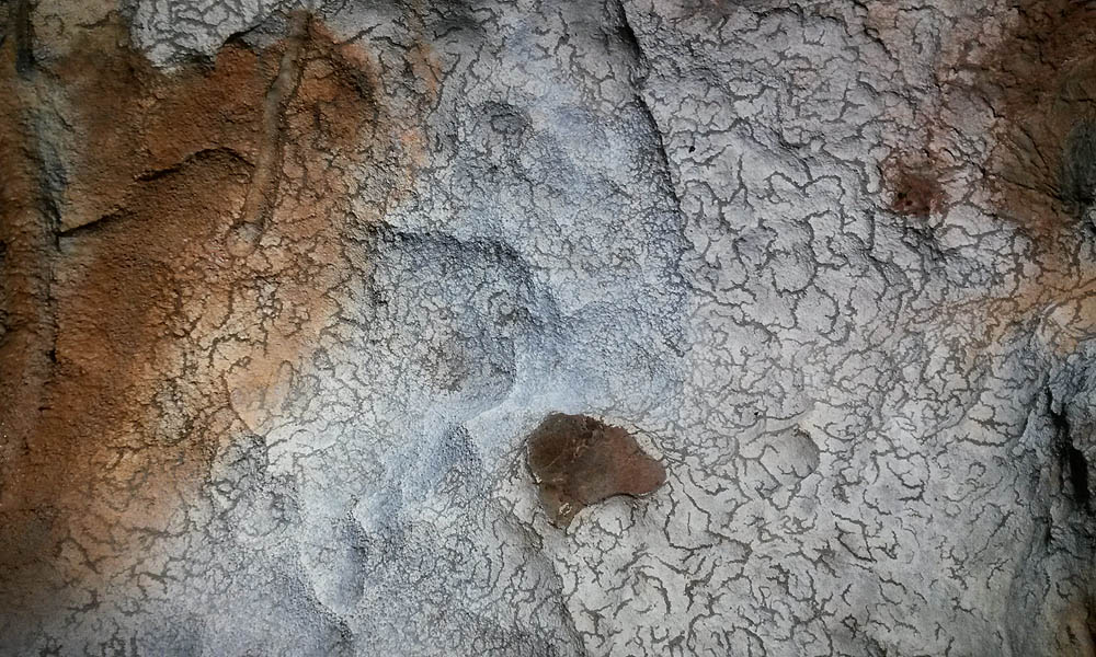 Gaura Cocoşului - "Piele de Leopard"-peretele drept la cca 15 de intrare - Foto: Adrian Munteanu