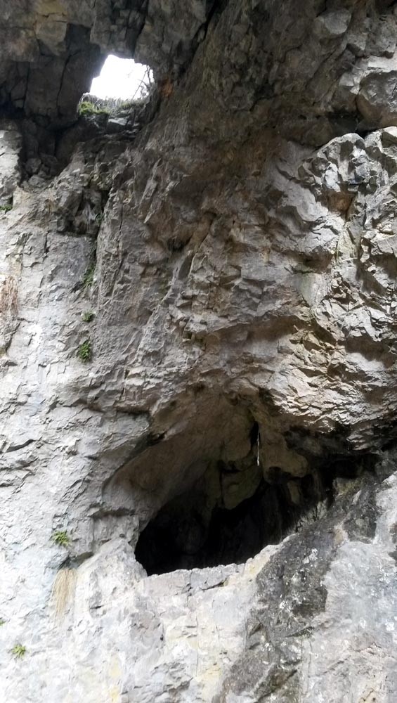 hornul si diverticolul