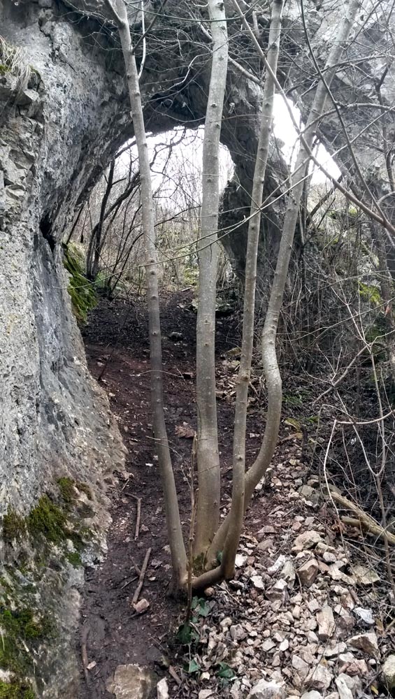 intrarea inferioara dinspre poteca