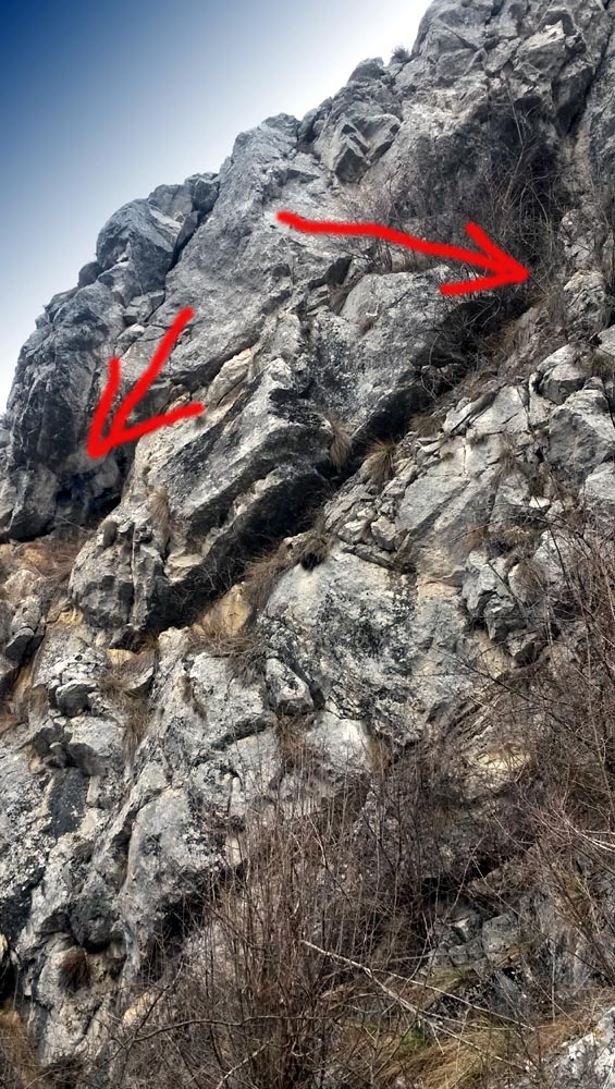 intrarile mascate de vegetatie