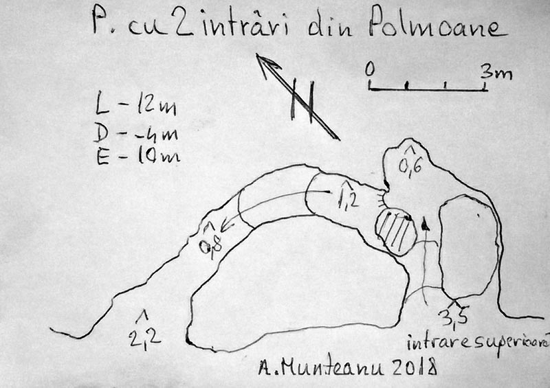 P cu 2 intrari din Polmoane - Image 3