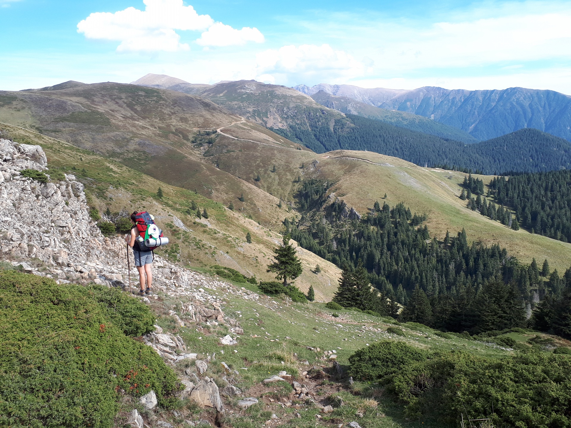 Peștera din Valea Coților - Image 2