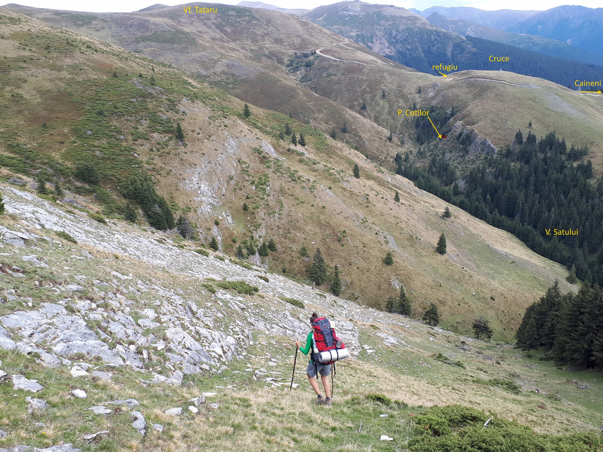 Peștera din Valea Coților - Image 3