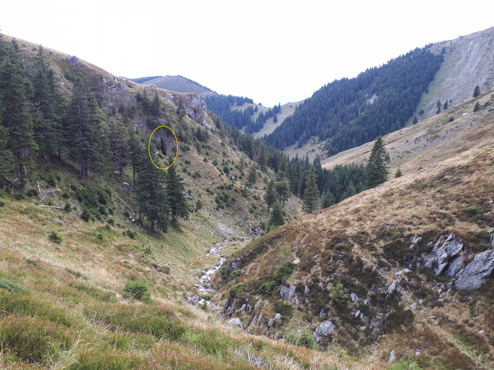 Peștera din Valea Coților - Image 4