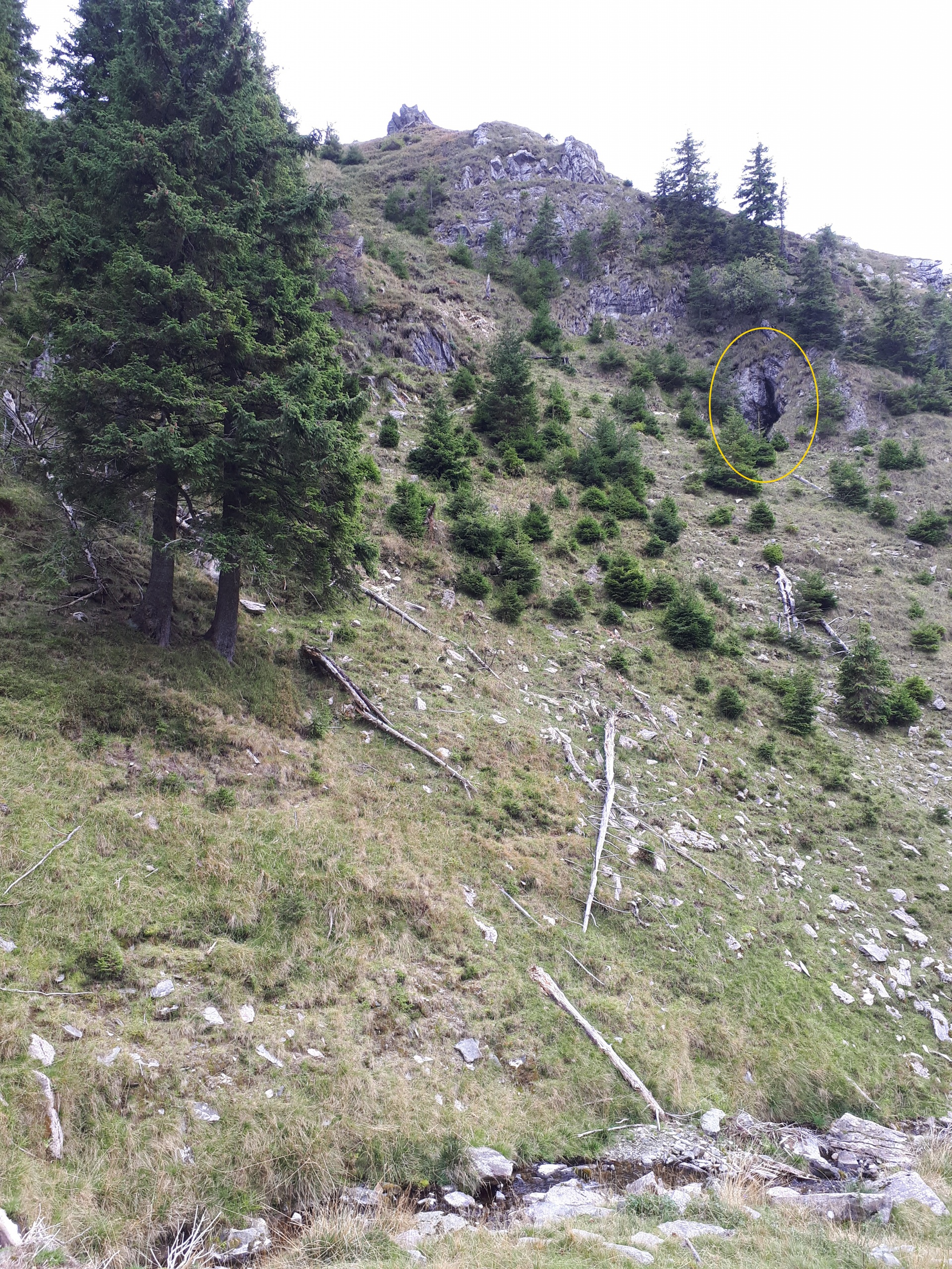 Peștera din Valea Coților - Image 5