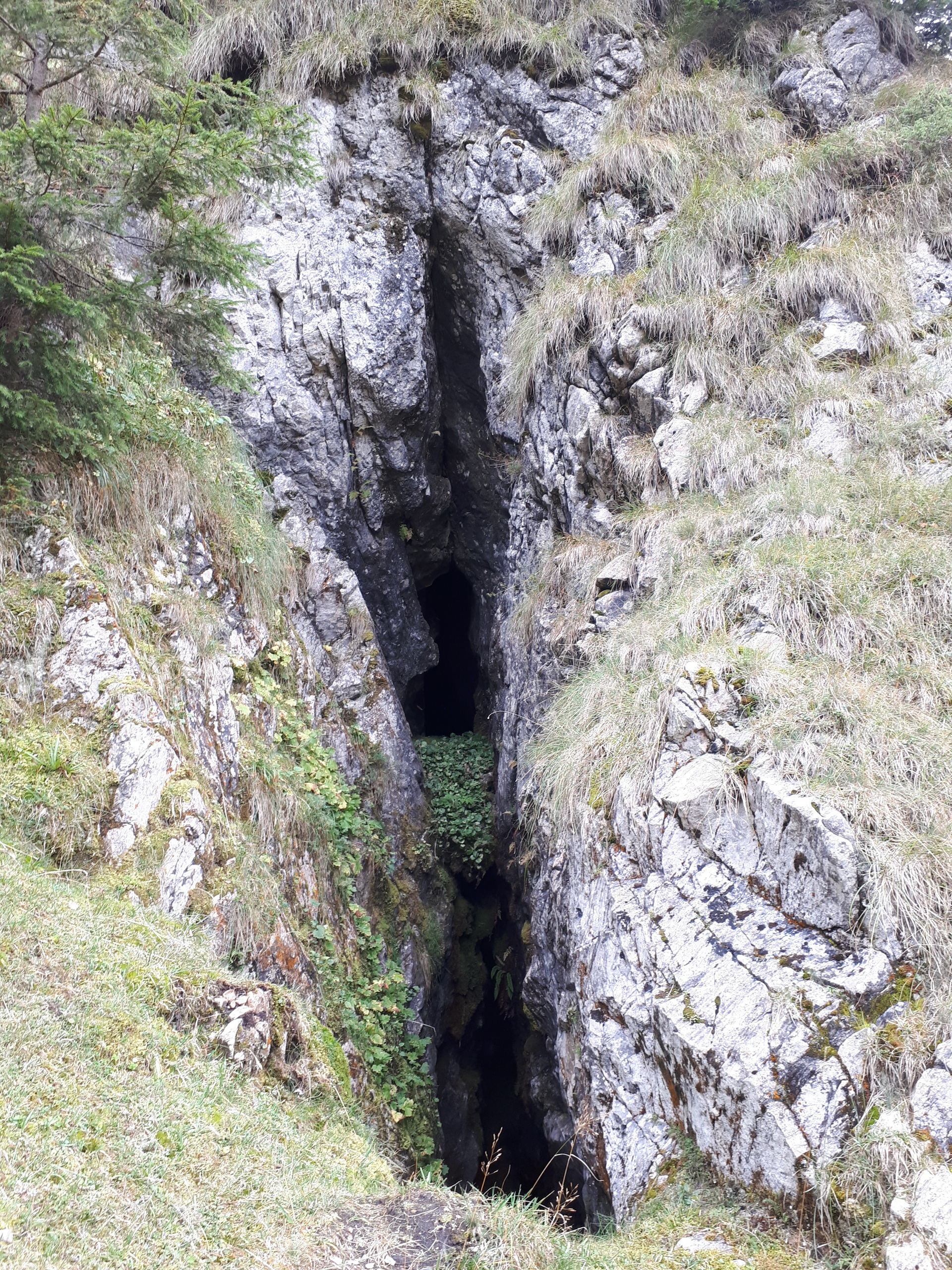 Peștera din Valea Coților - Image 6