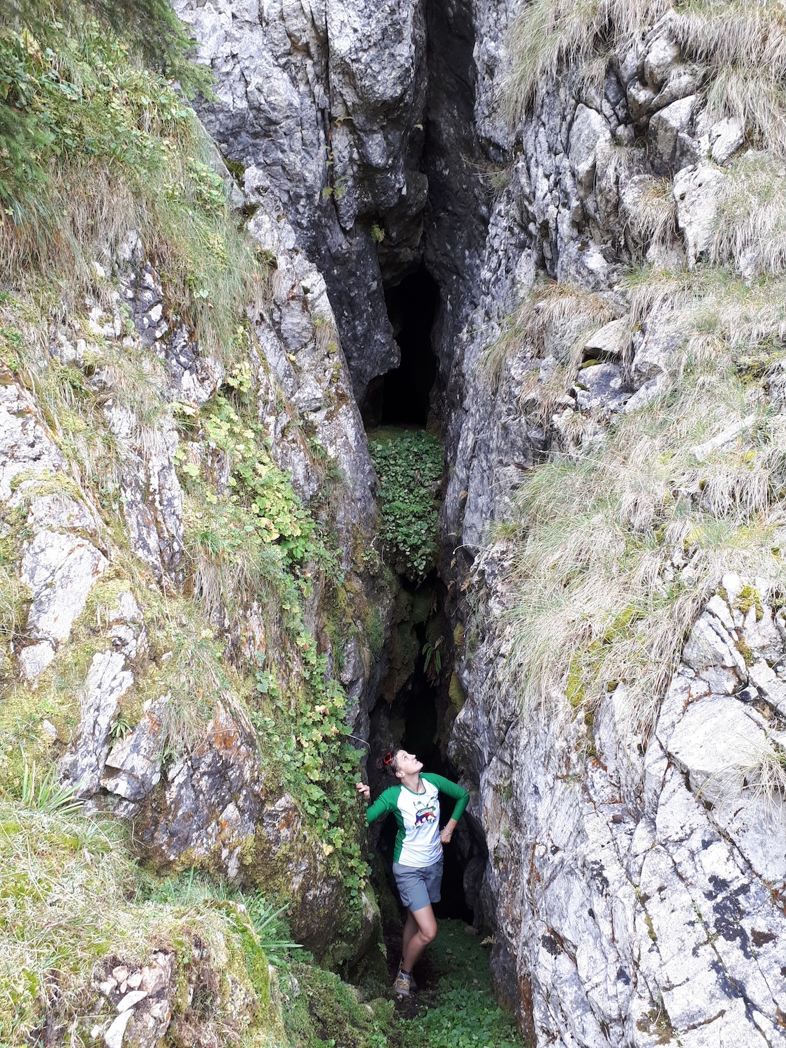 Peștera din Valea Coților - Image 10