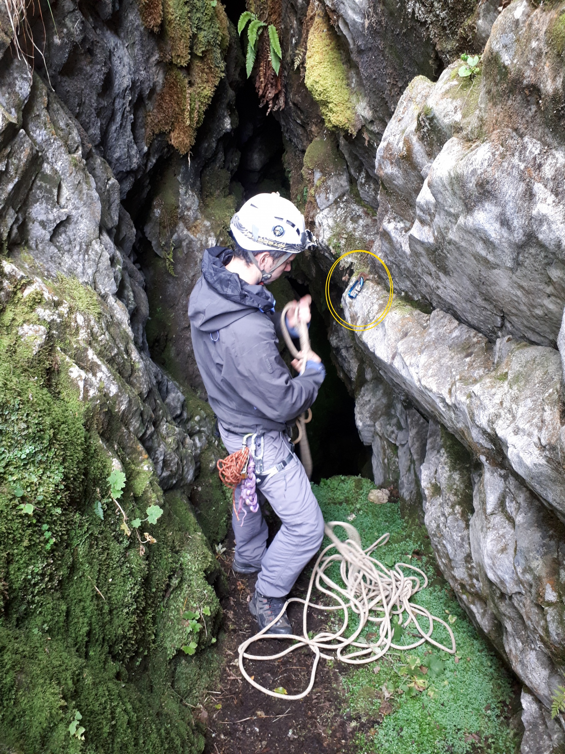 Peștera din Valea Coților - Image 7