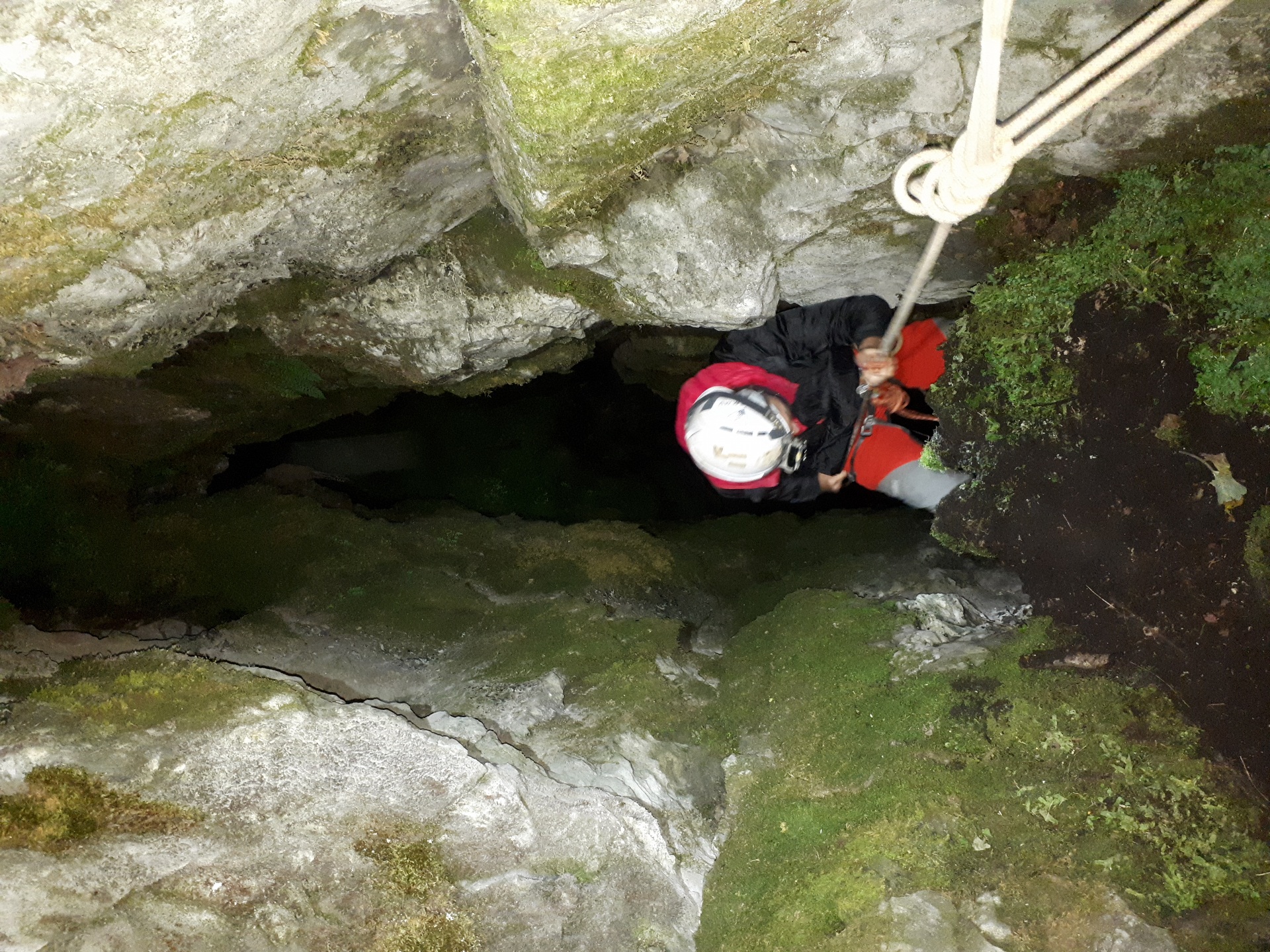 Peștera din Valea Coților - Image 9