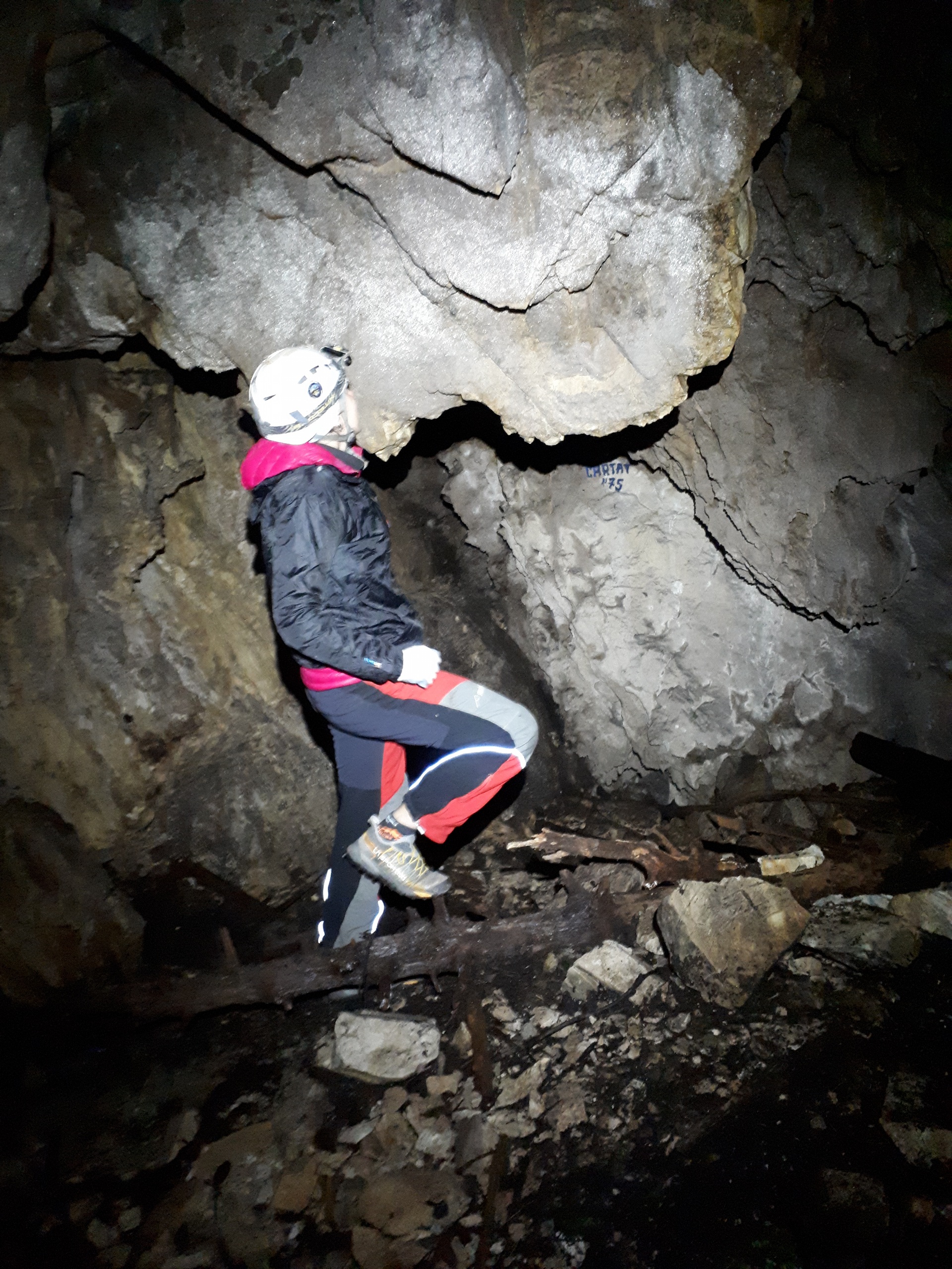 Peștera din Valea Coților - Image 11