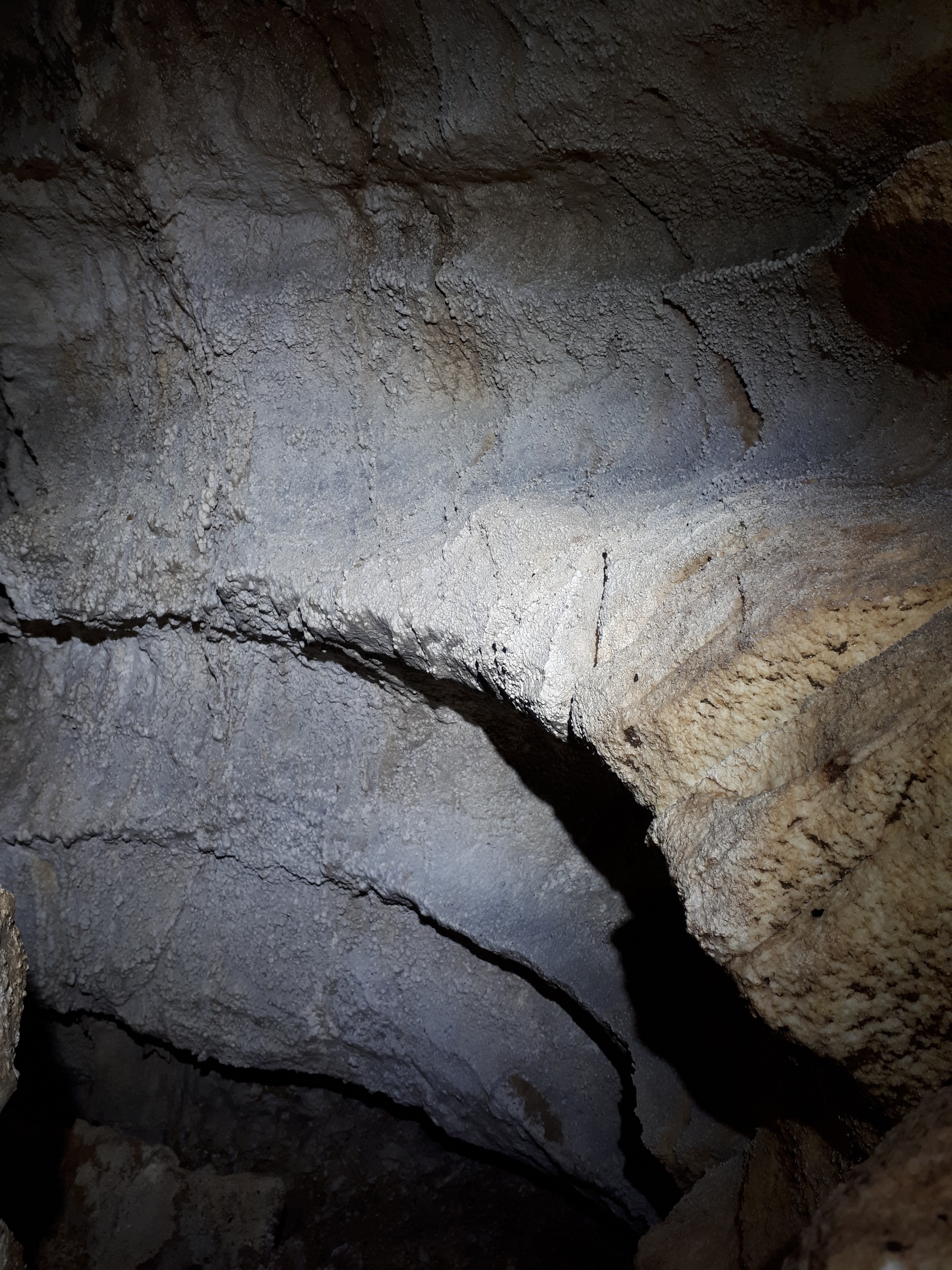 Peștera din Valea Coților - Image 13