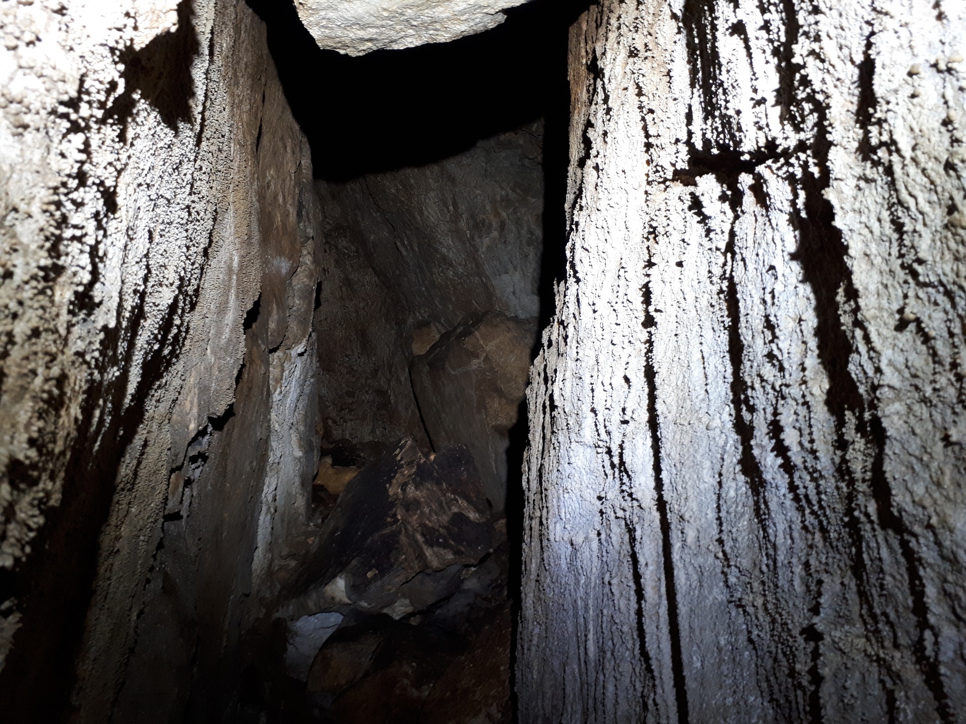 Peștera din Valea Coților - Image 14