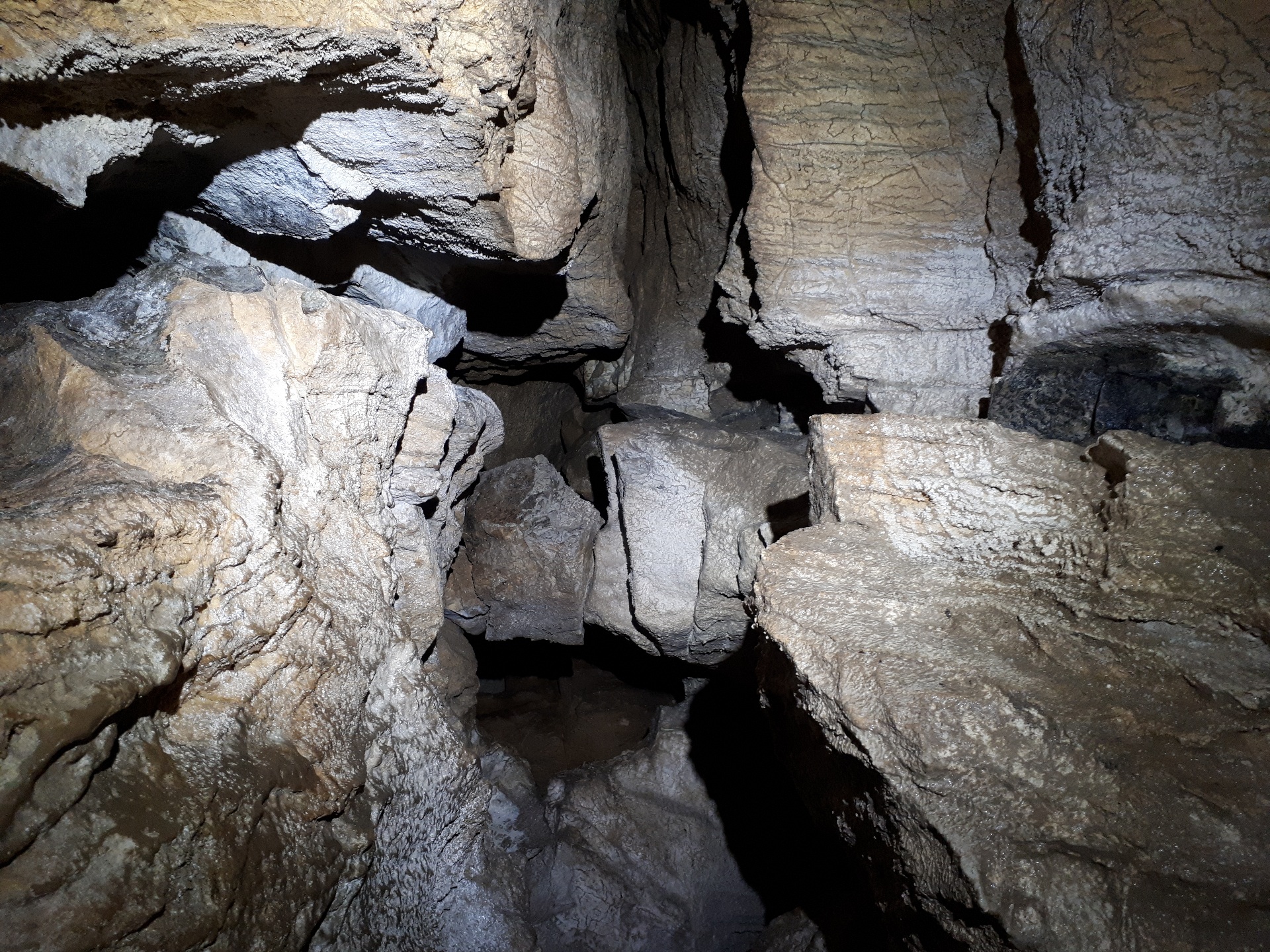 Peștera din Valea Coților - Image 15