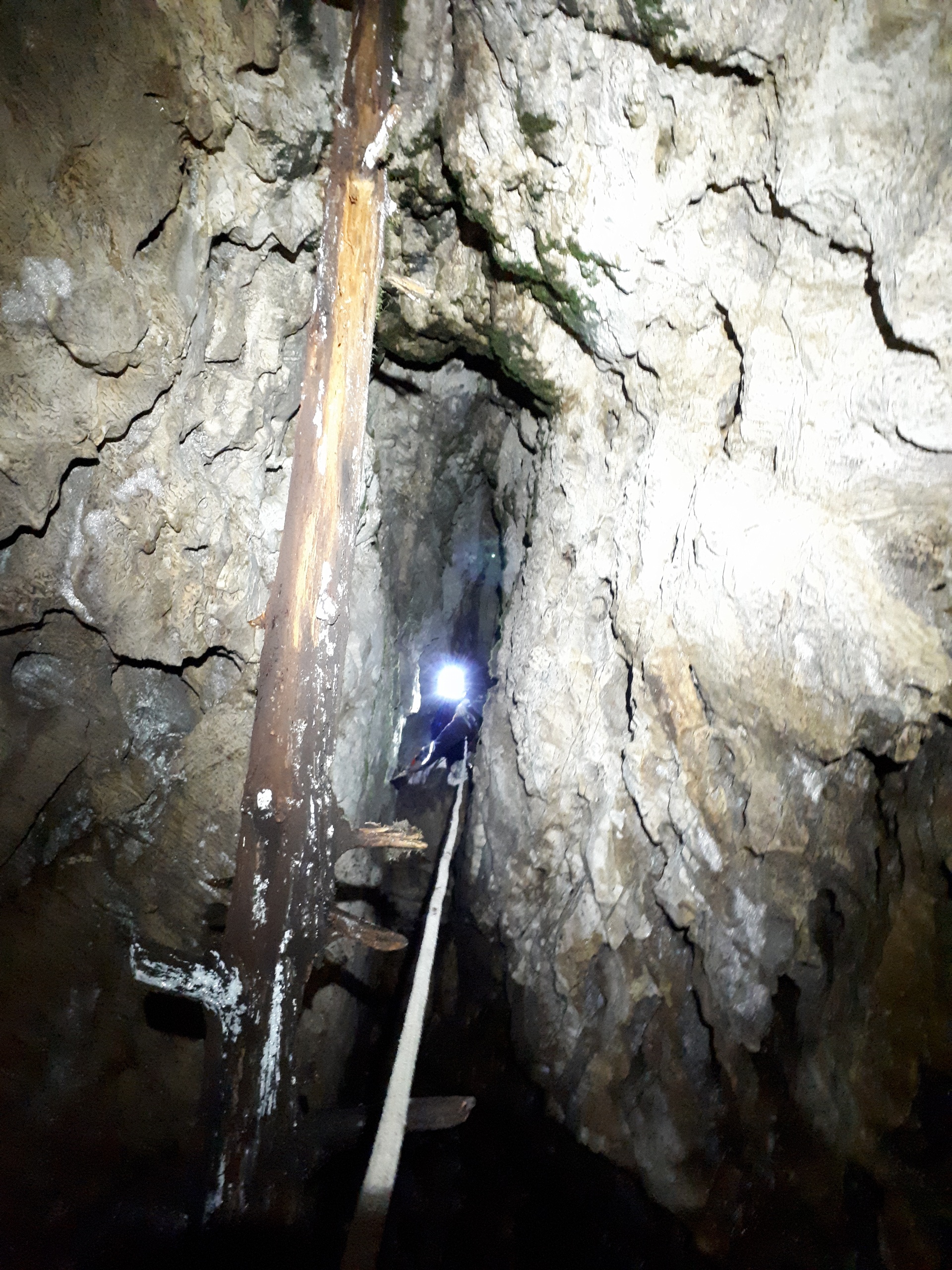 Peștera din Valea Coților - Image 16