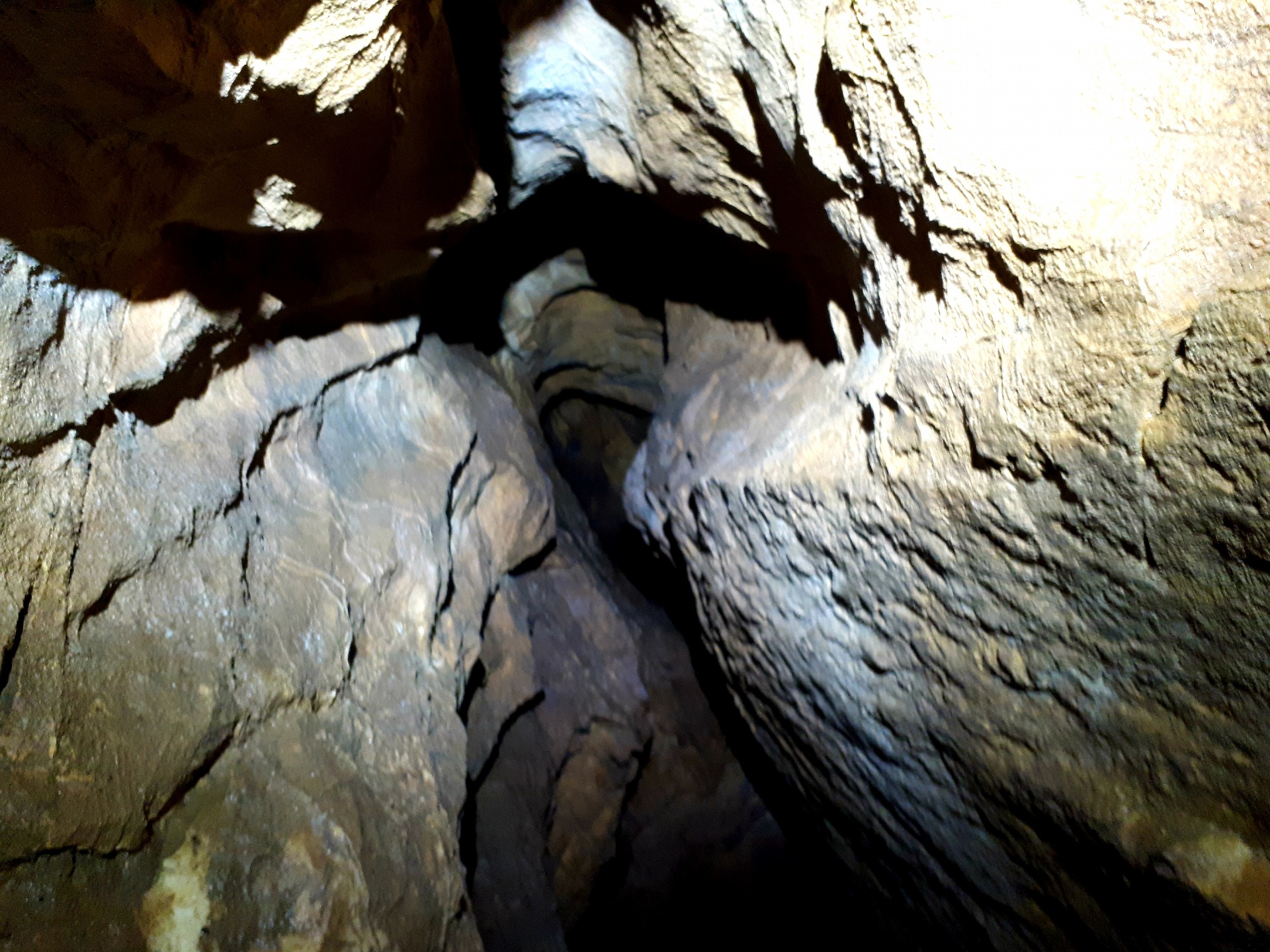 Peștera din Valea Coților - Image 17