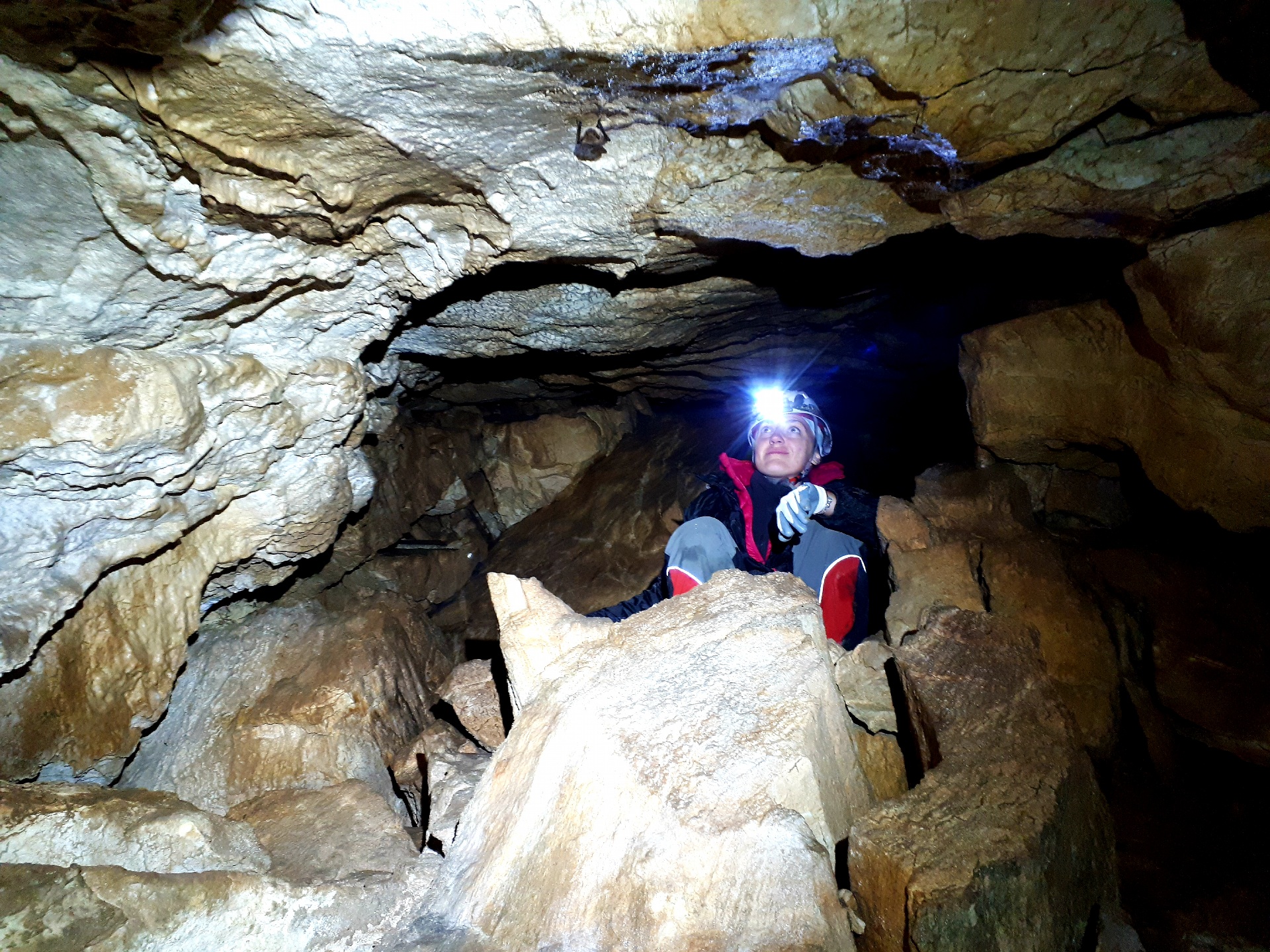 Peștera din Valea Coților - Image 21