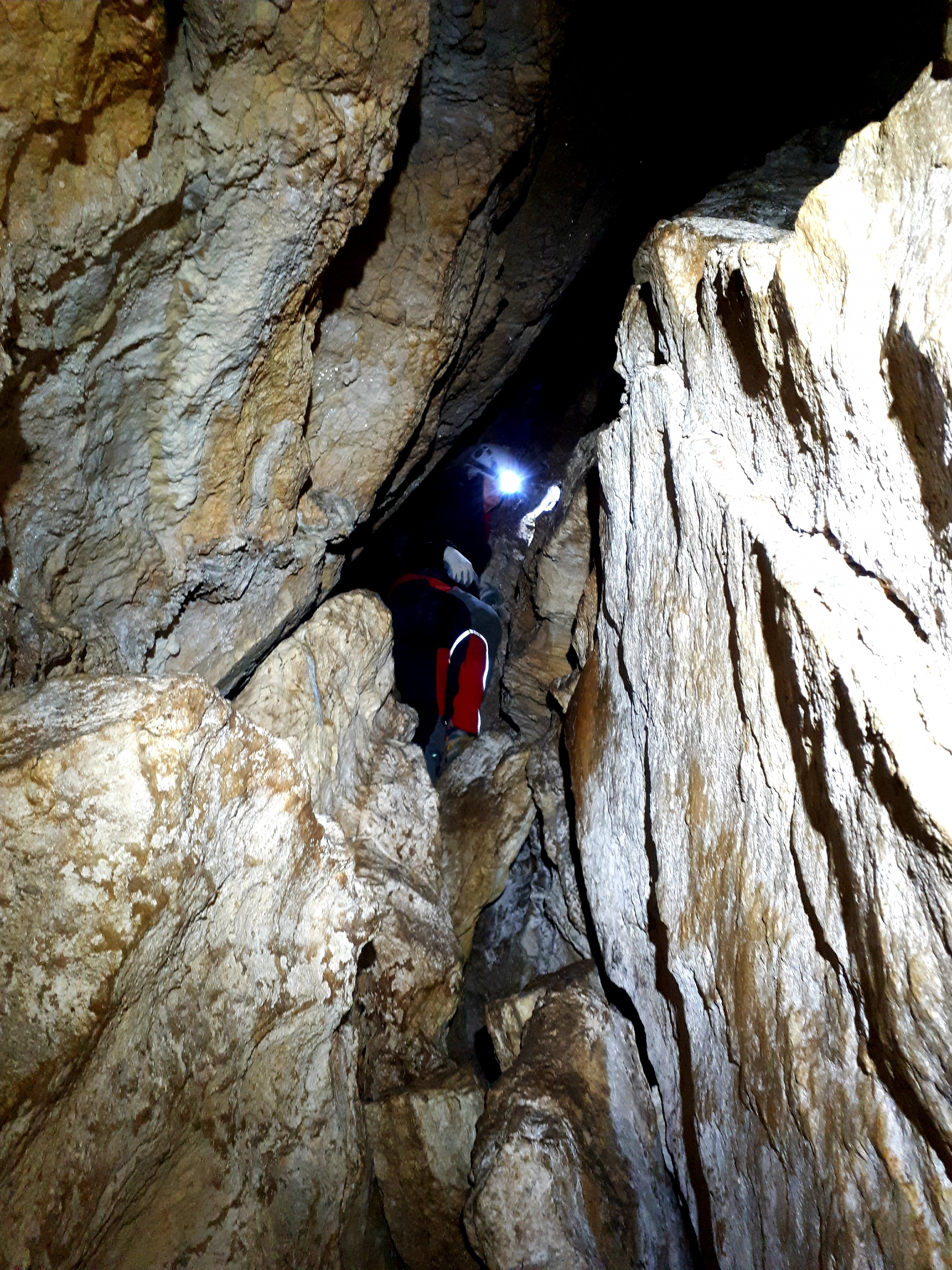 Peștera din Valea Coților - Image 23