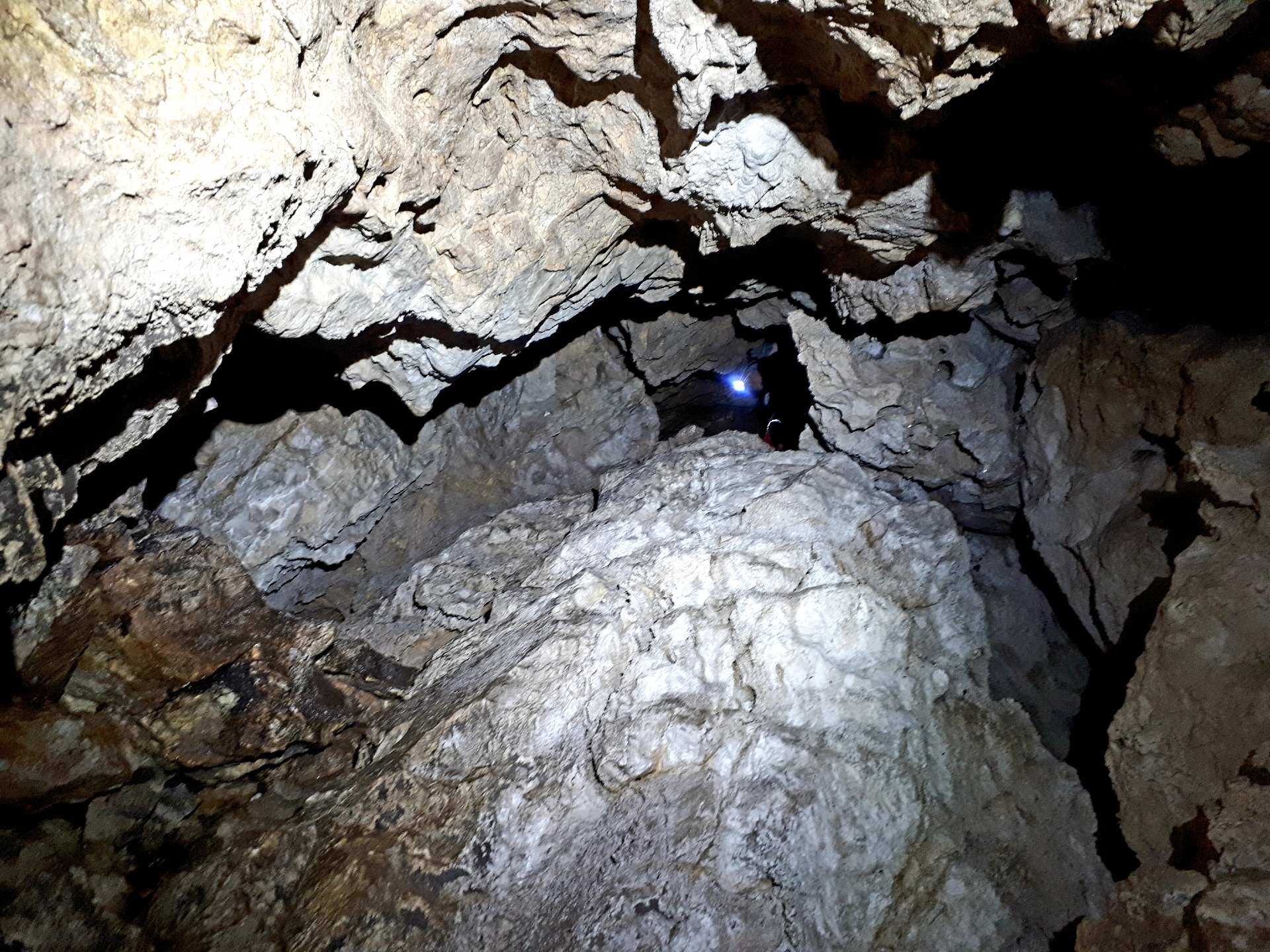 Peștera din Valea Coților - Image 24