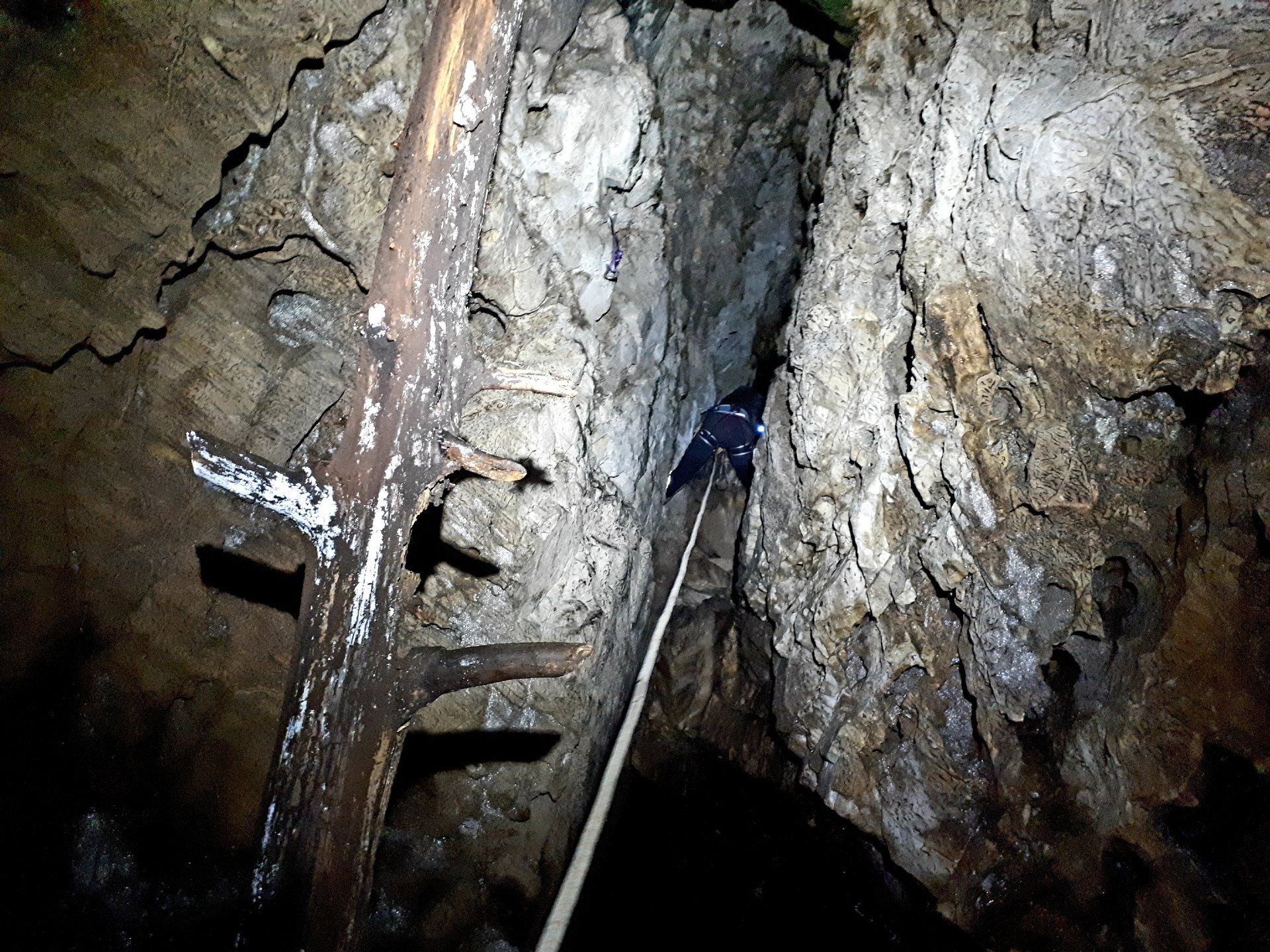 Peștera din Valea Coților - Image 25