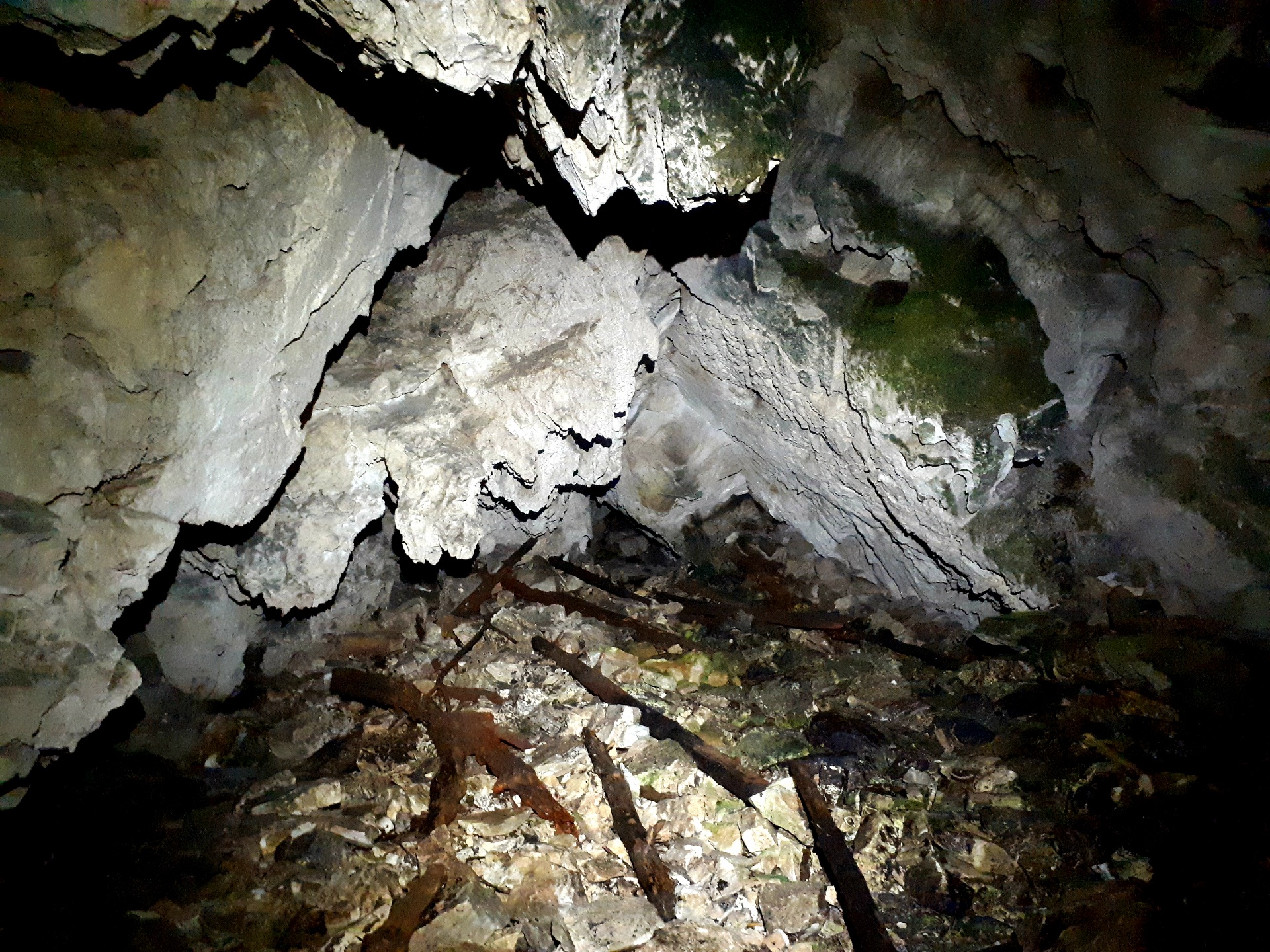 Peștera din Valea Coților - Image 26