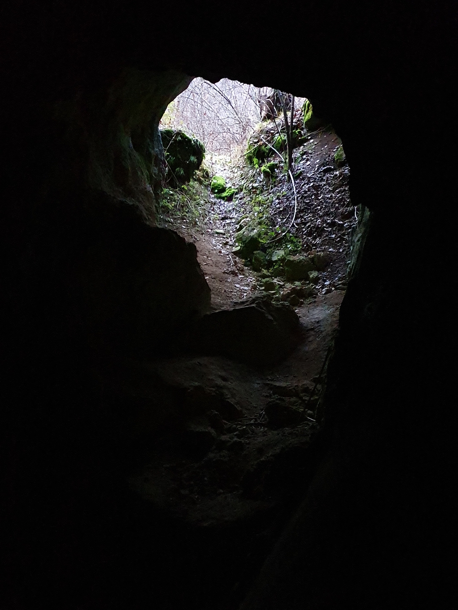 Ci0arei -intrare - Foto: Gigi Dragomir